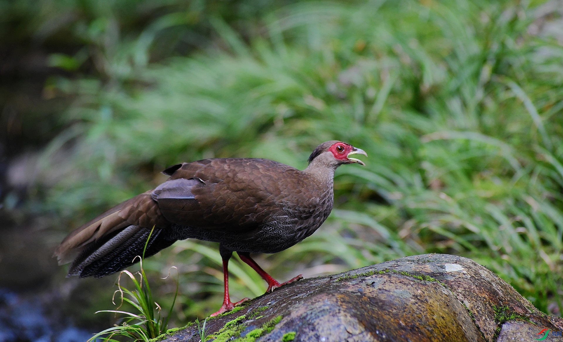 DSC_4127.jpg