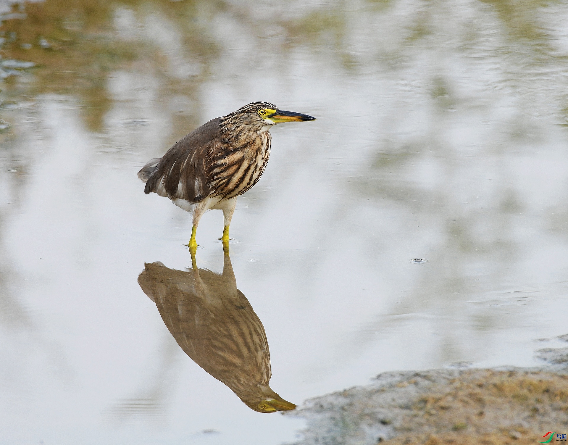 DSC_0706.jpg