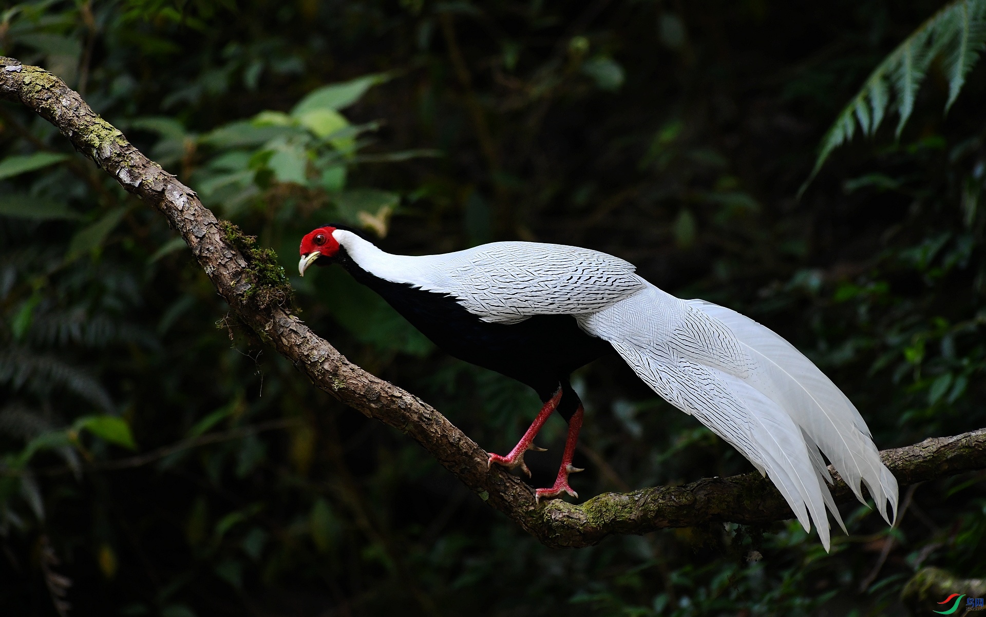 DSC_4352.jpg