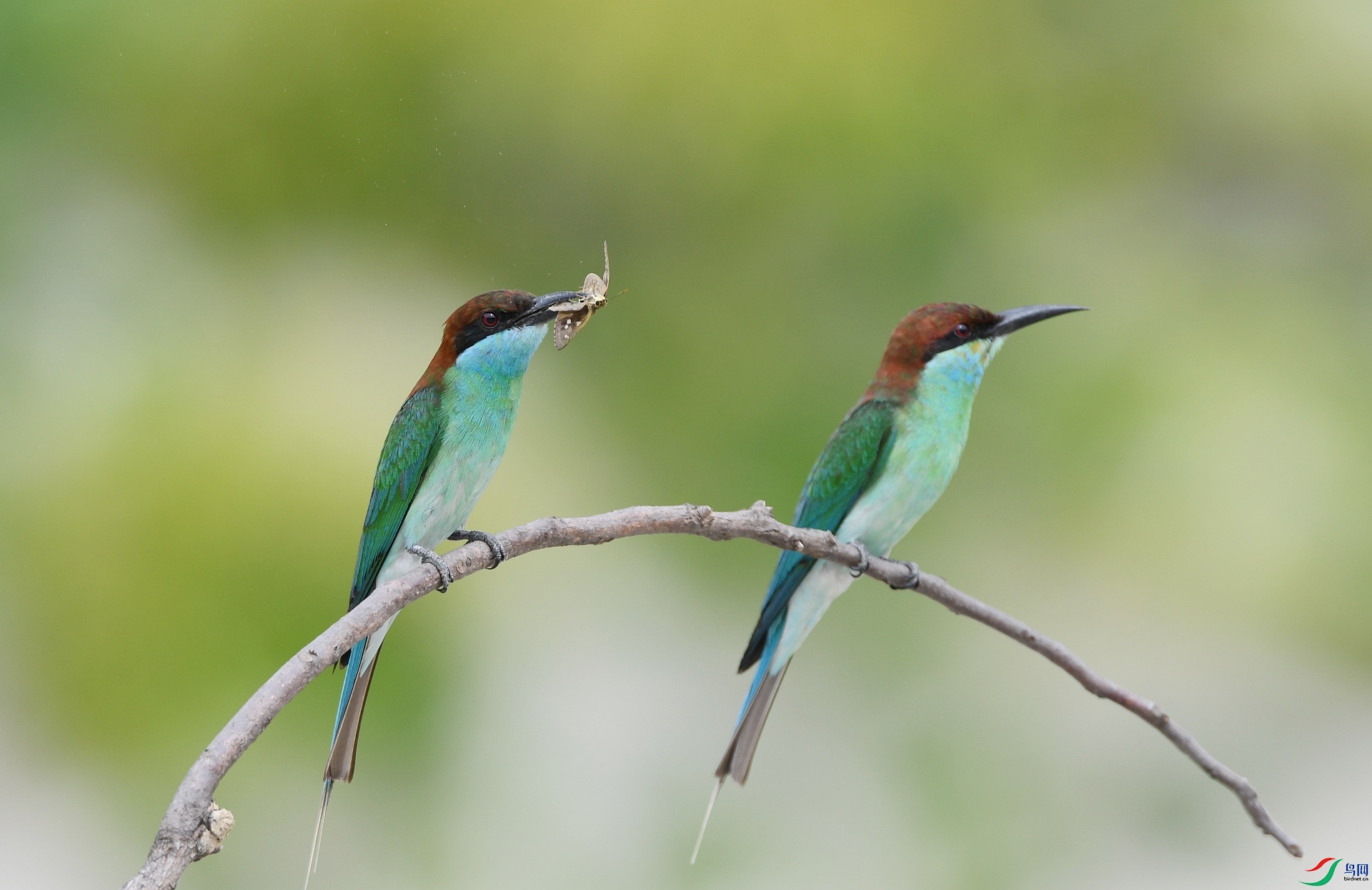 DSC_0243.jpg