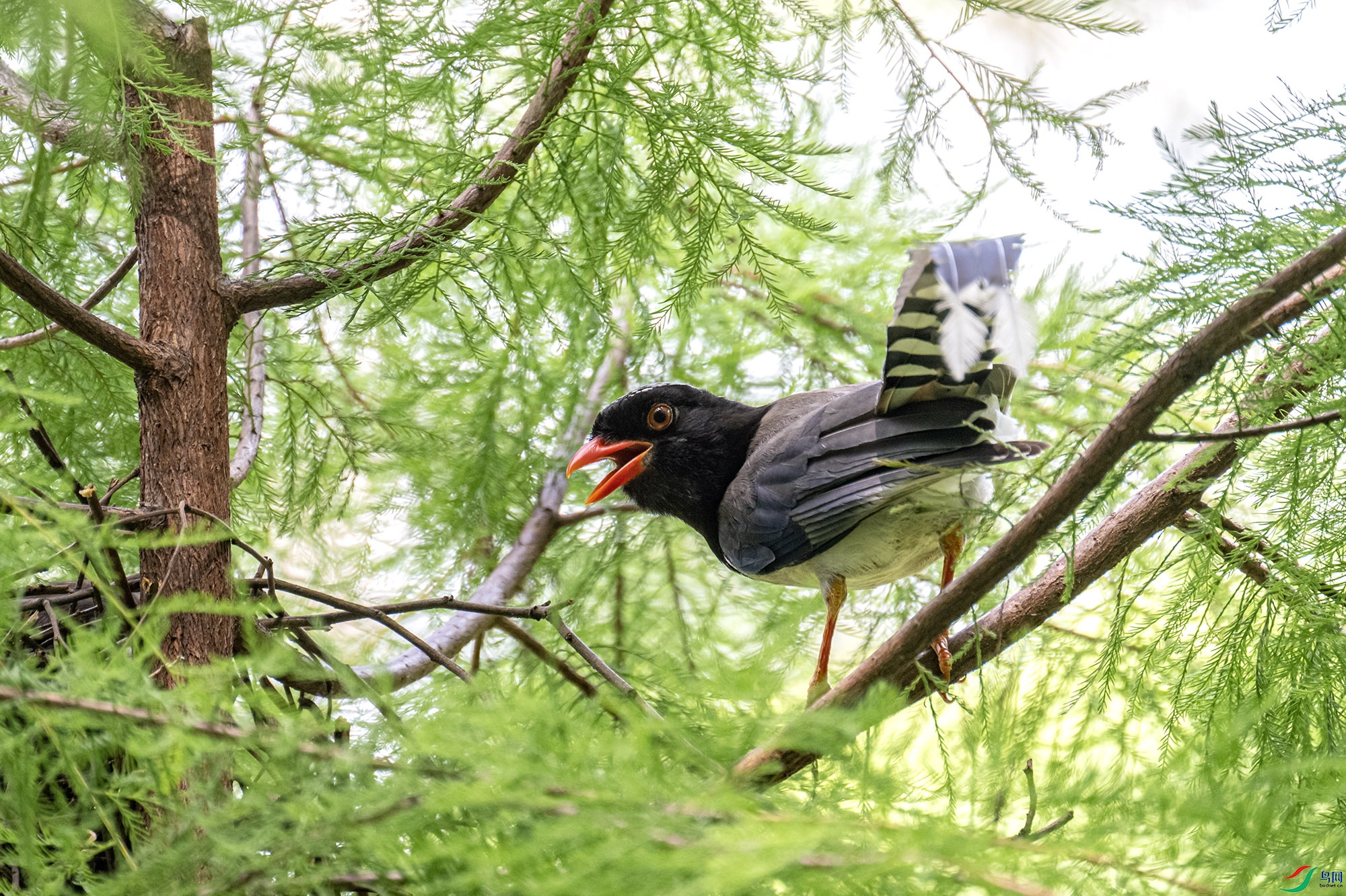 DSC_7107.jpg
