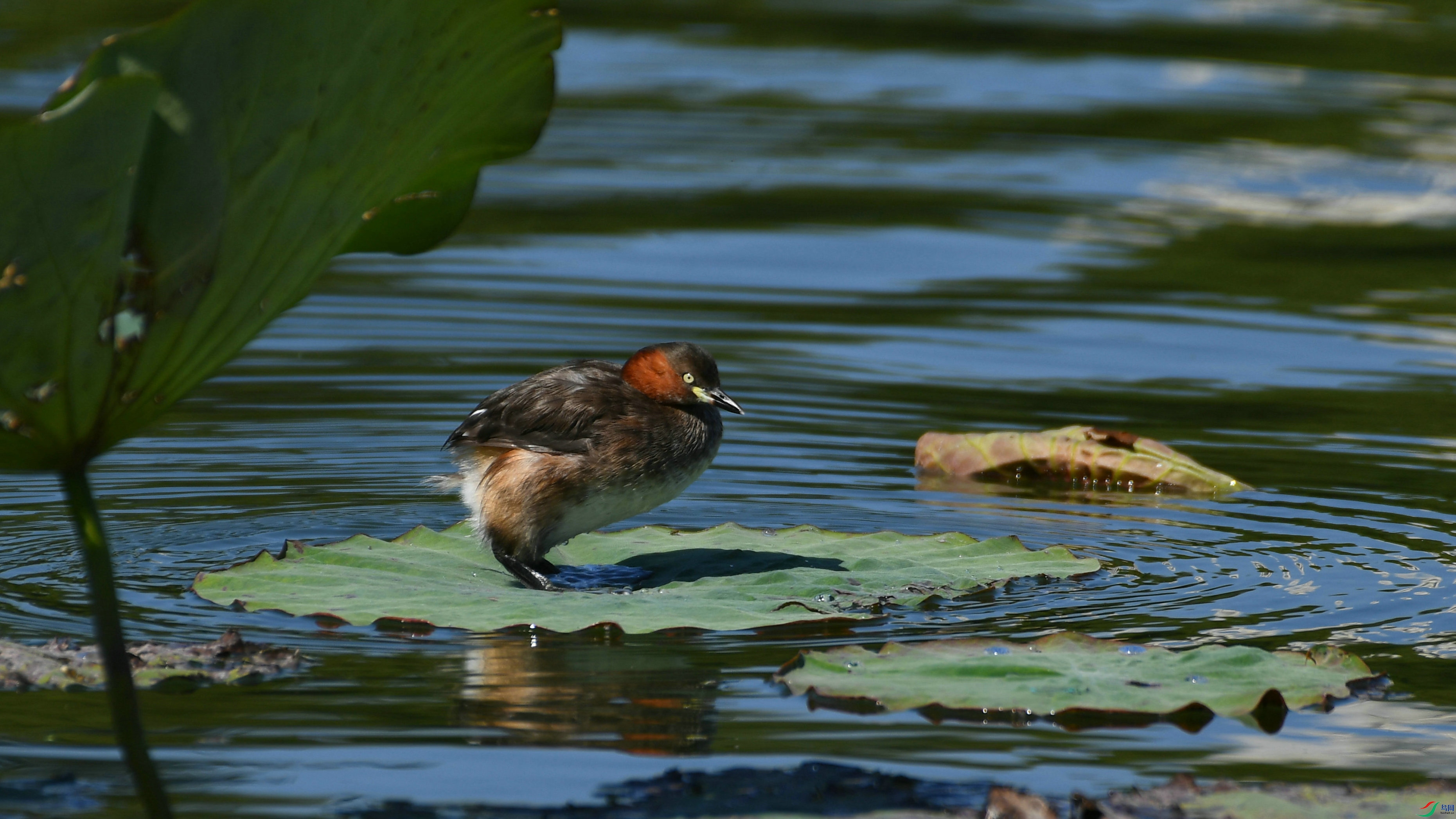 DSC_8961.JPG