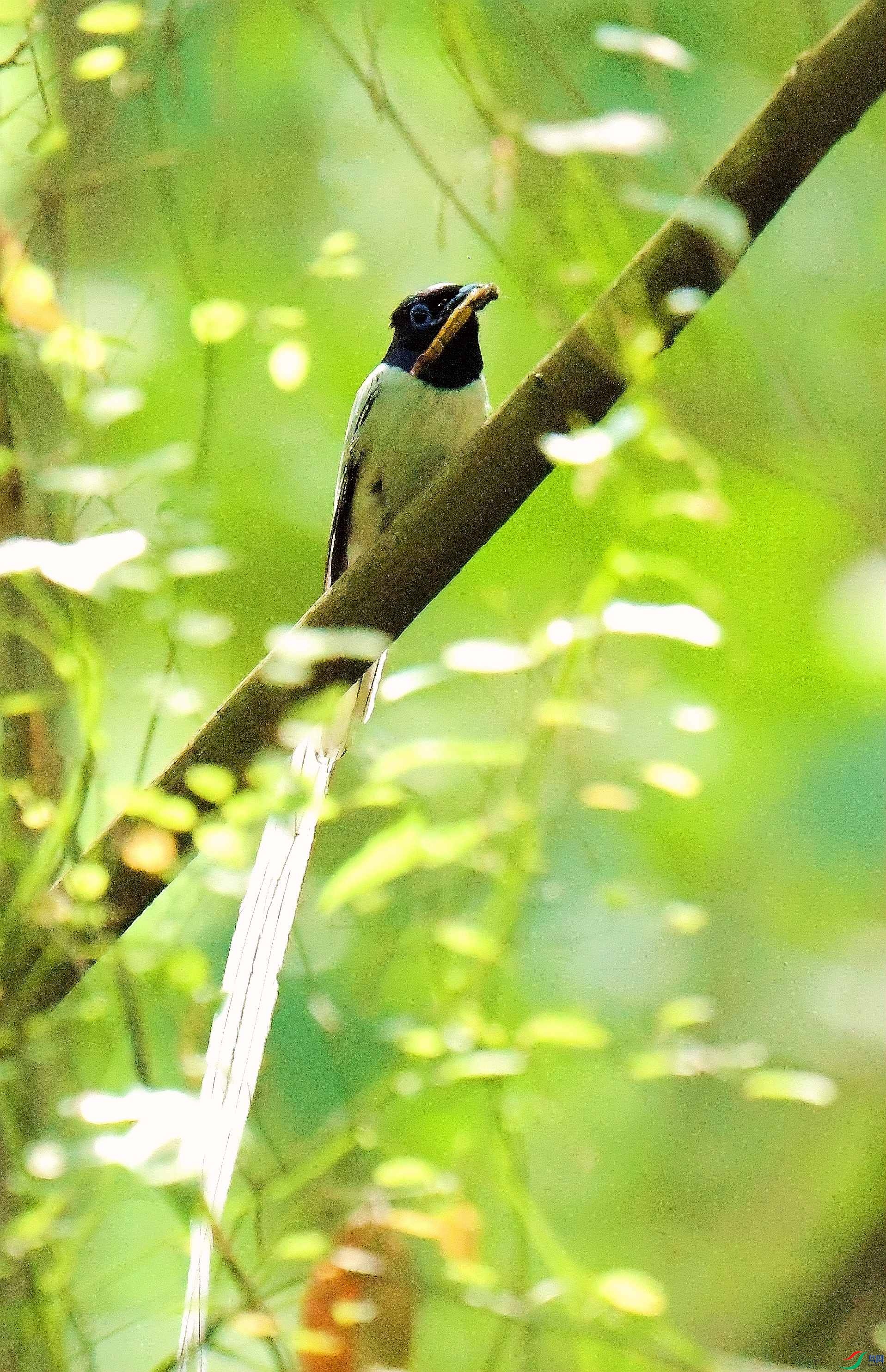 DSC_7624.JPG