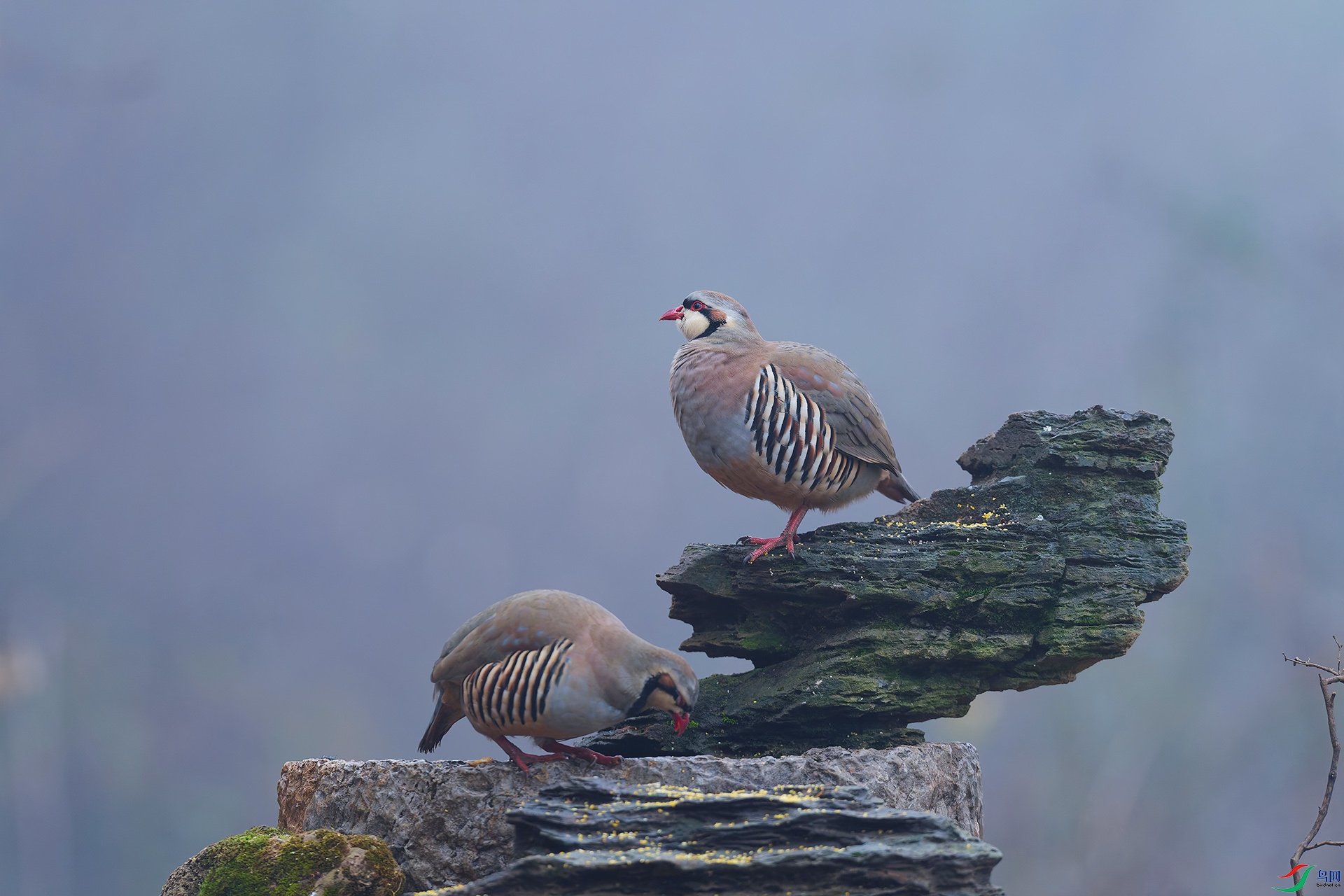 4DSC_7915_DxO_DxO.jpga.jpg