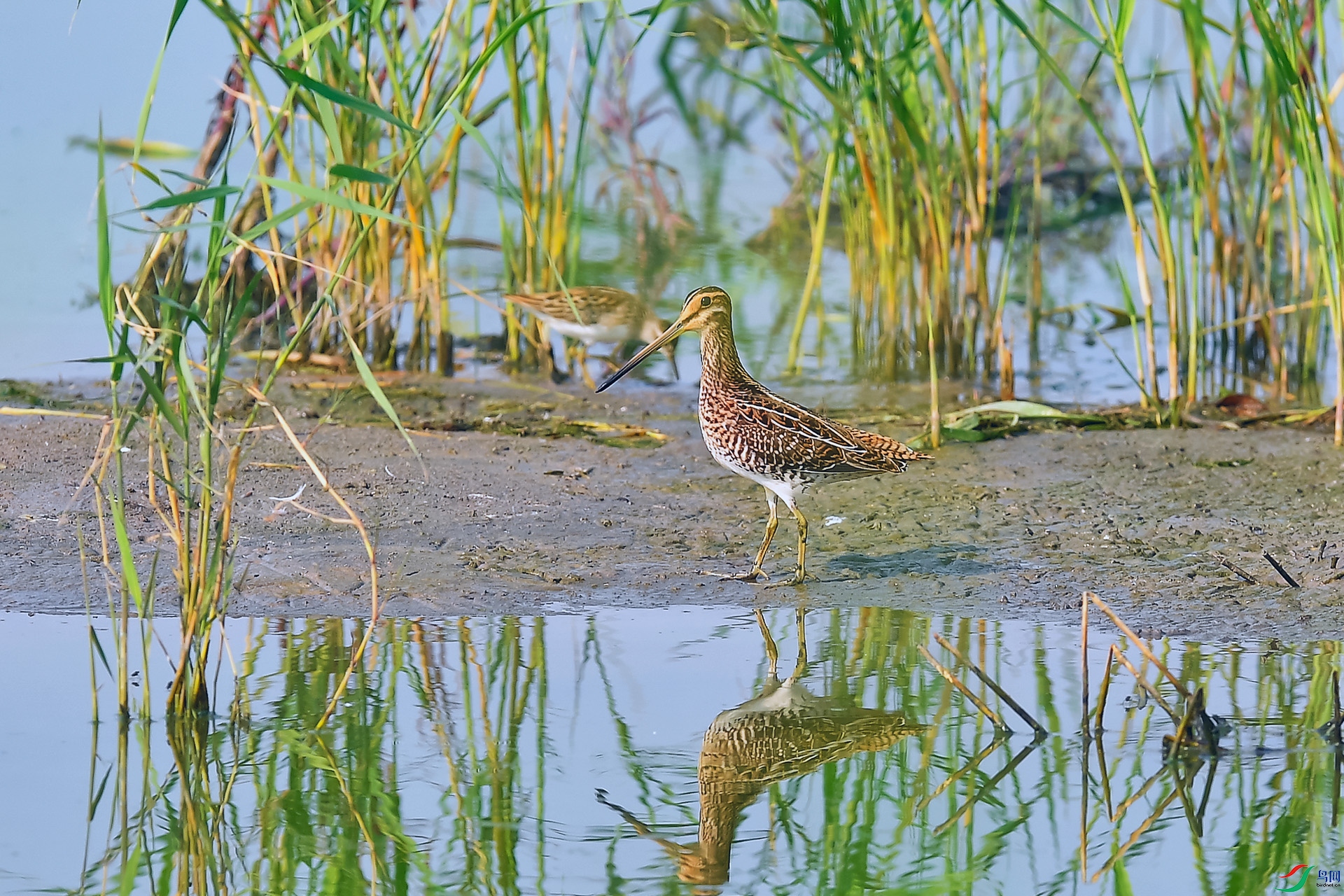 2DSC_2940_DxO.jpga.jpg
