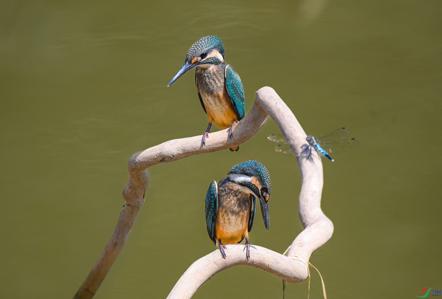 DSC_0752_��ͼ��_��ͼ�� ����.jpg