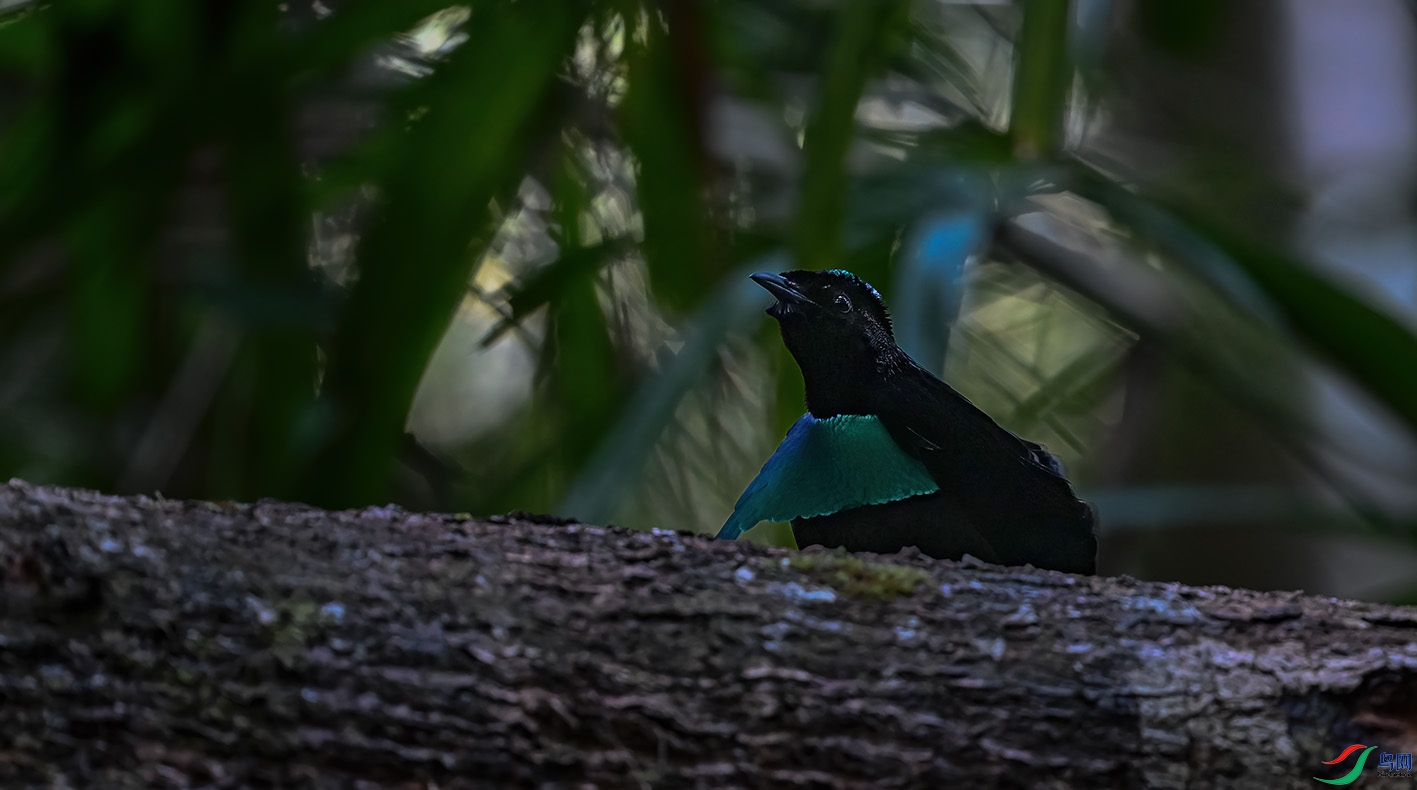 DSC_0614-2.jpg