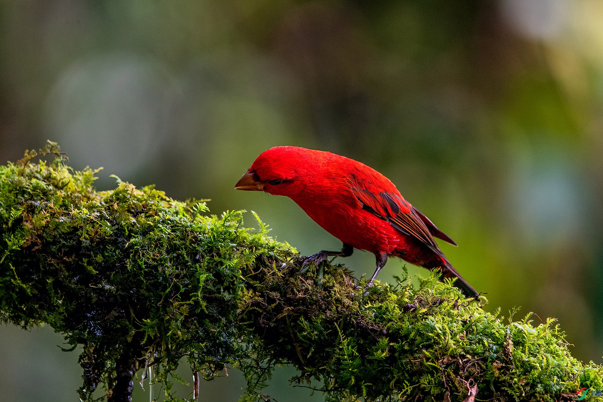 _AUU6894Ѫȸ(24.2.12).jpg