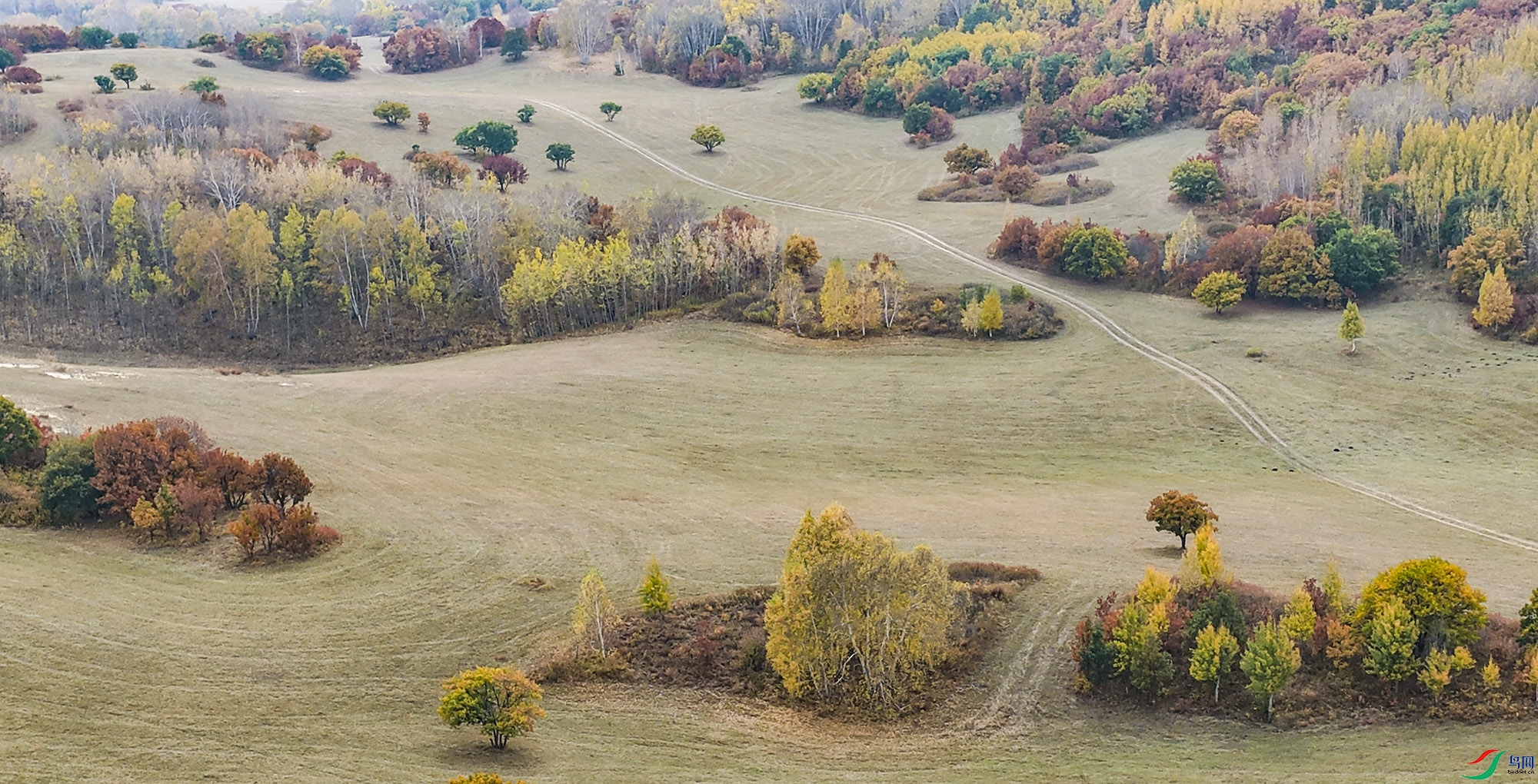 DJI_20260924112923_0066_D.jpg