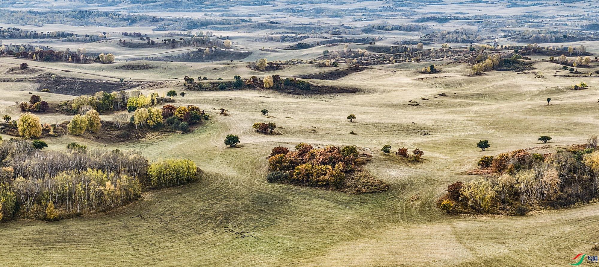 DJI_20260924112704_0046_D.jpg