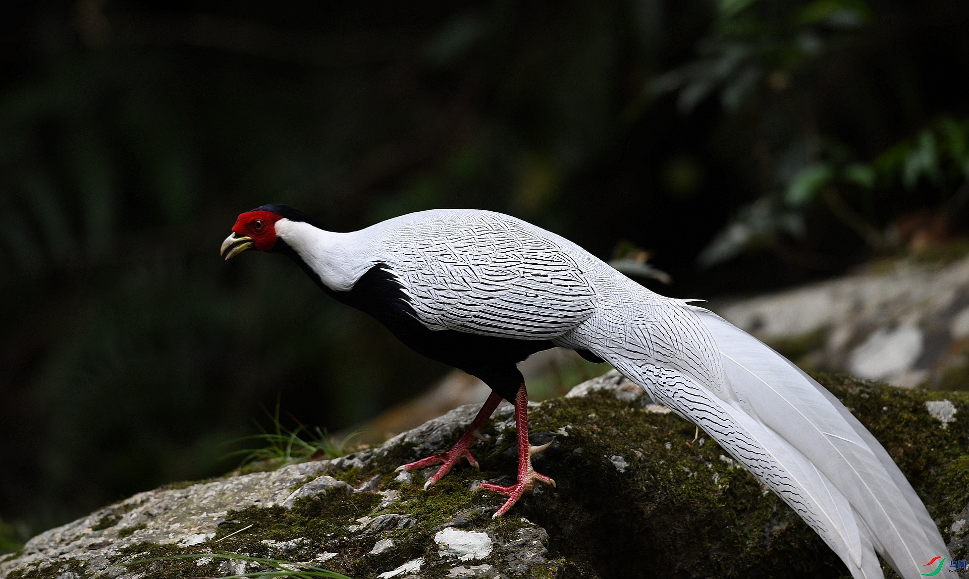 DSC_9182.jpg