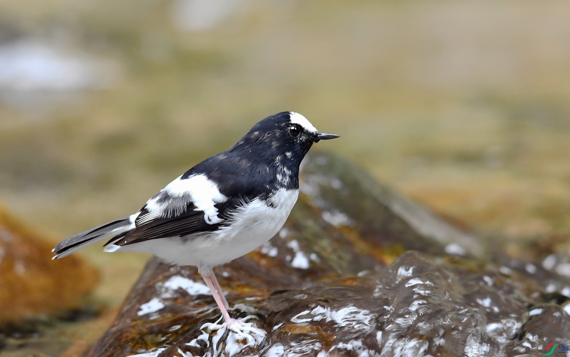 DSC_7150.jpg
