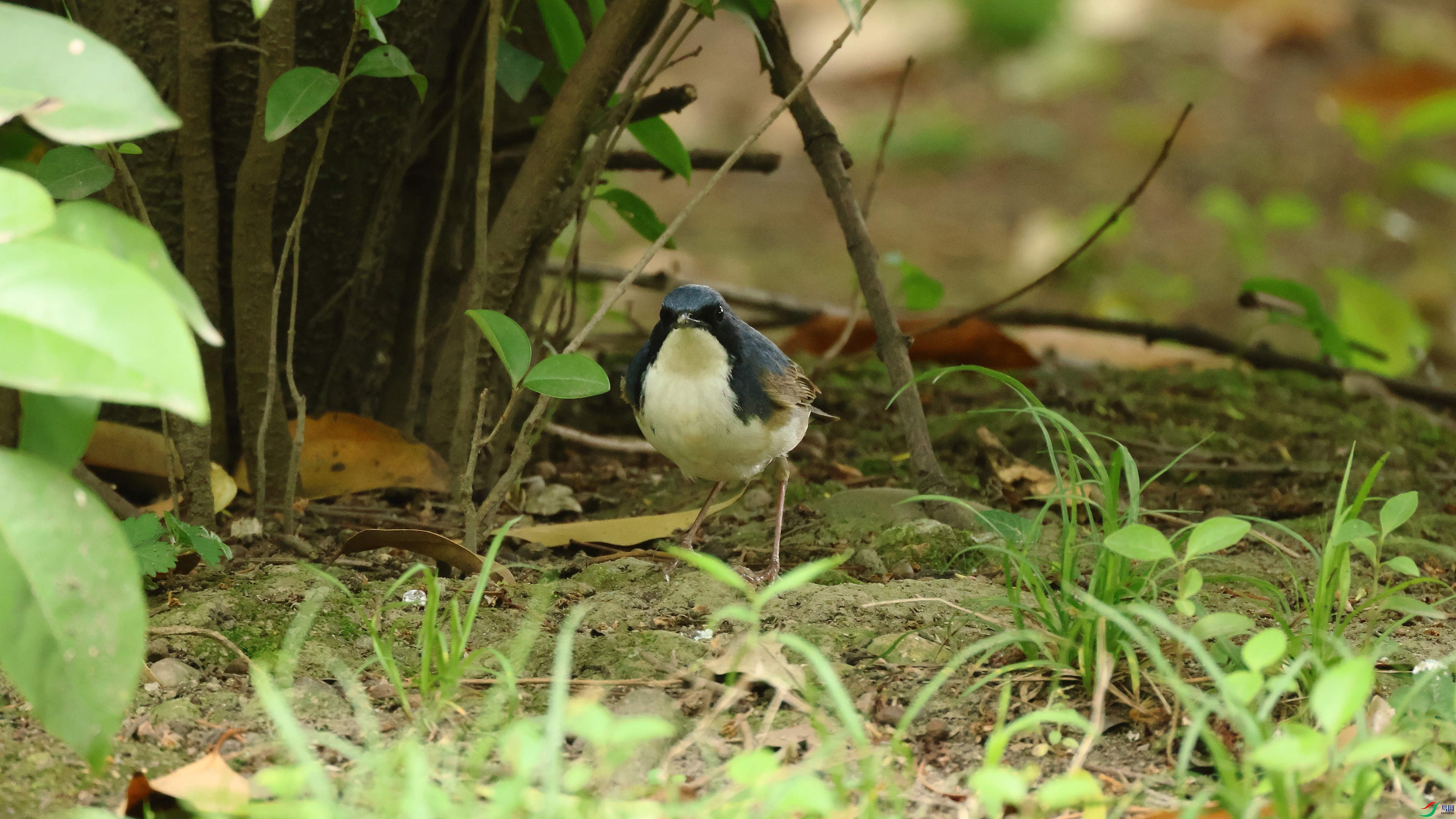 IMG_7922.JPG
