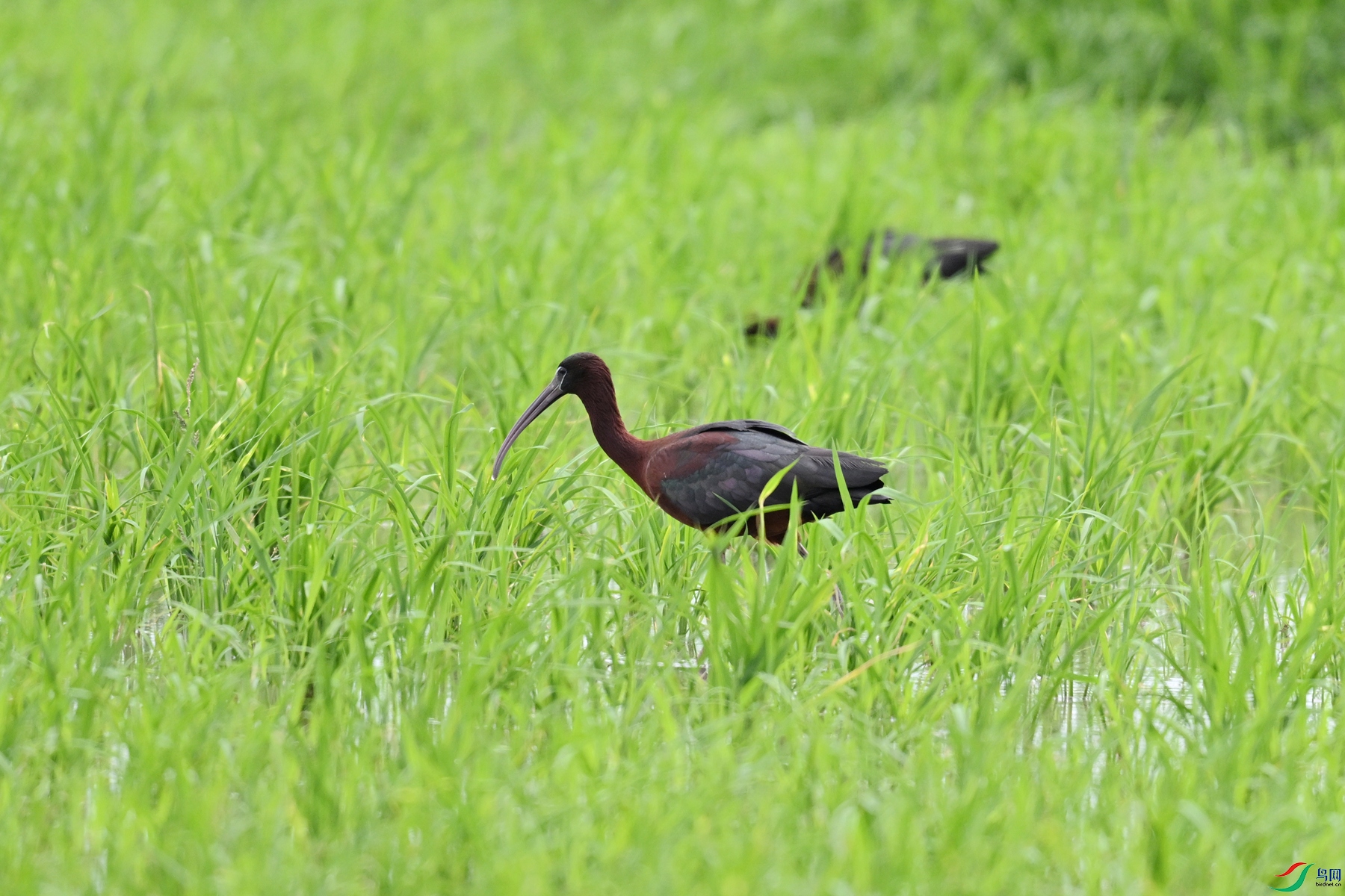 DSC_7690.JPG