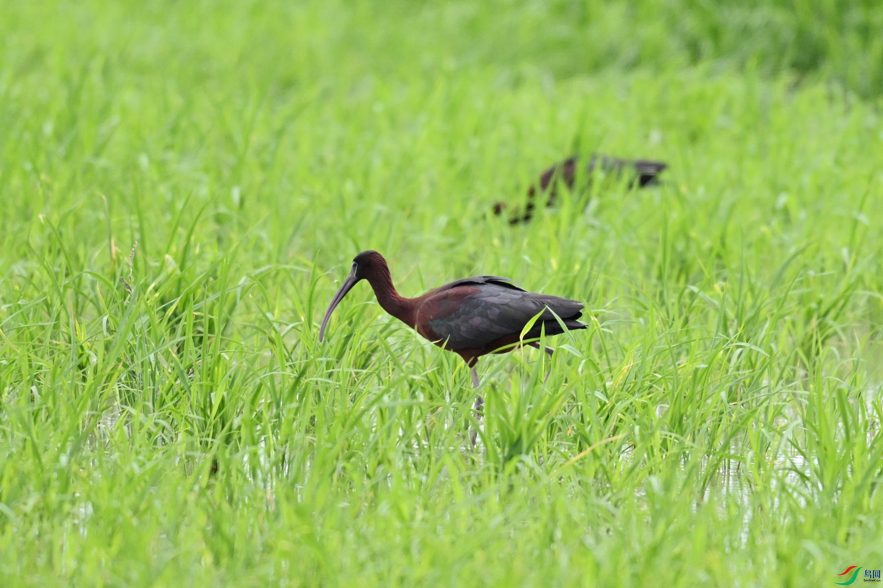 DSC_7693.JPG
