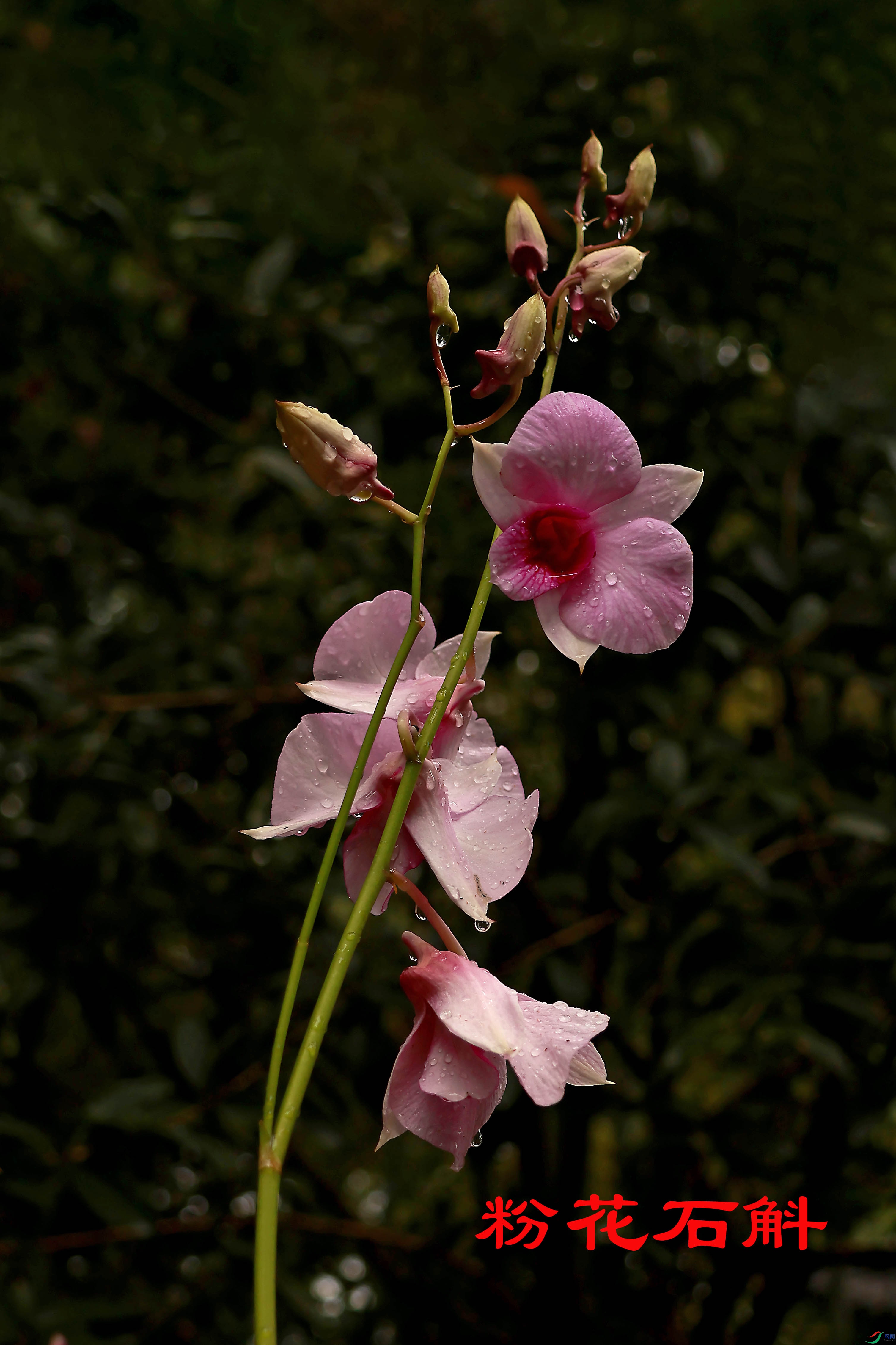 2G9A0144.JPG