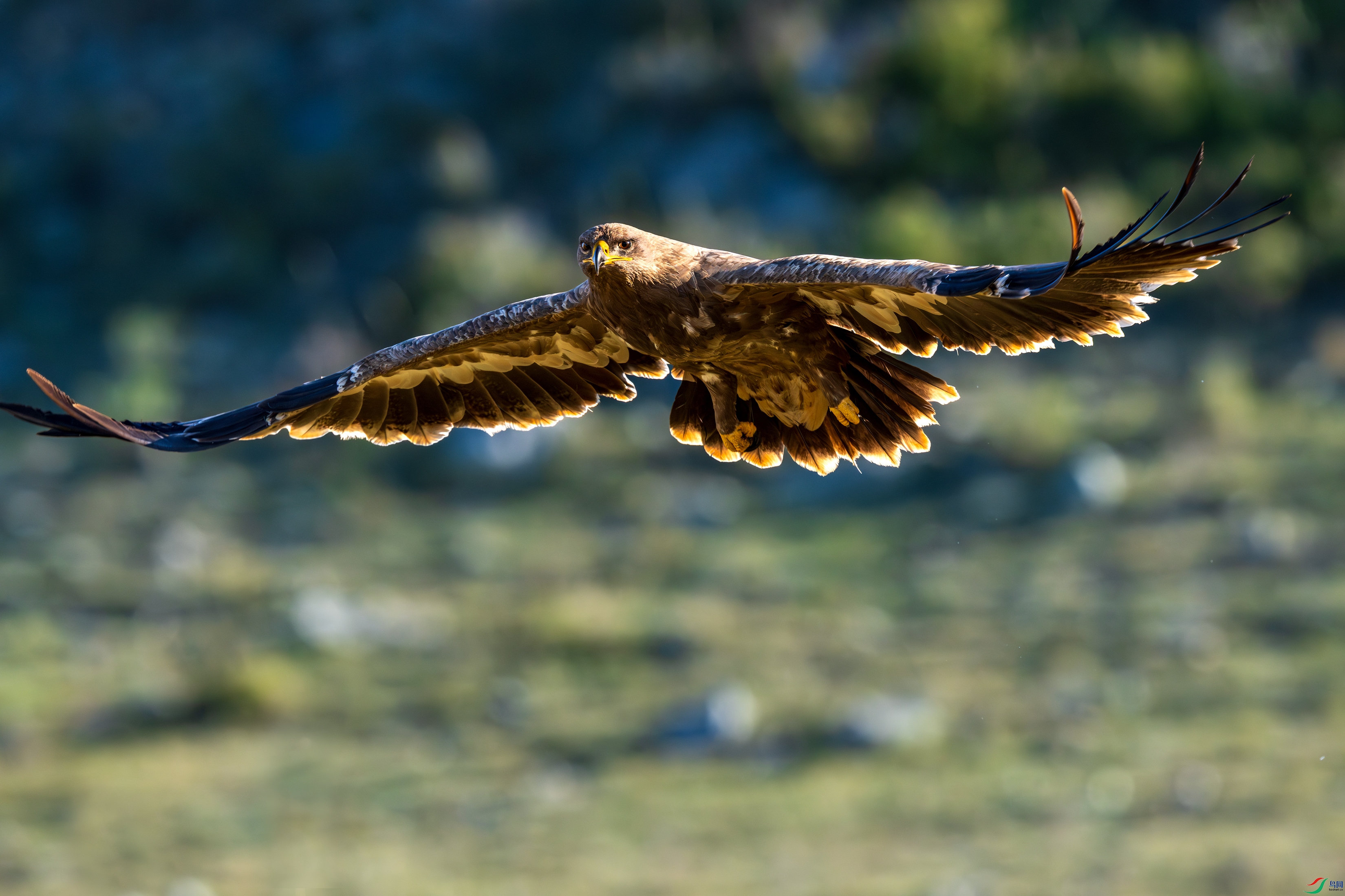 _DSC2024-1.jpg