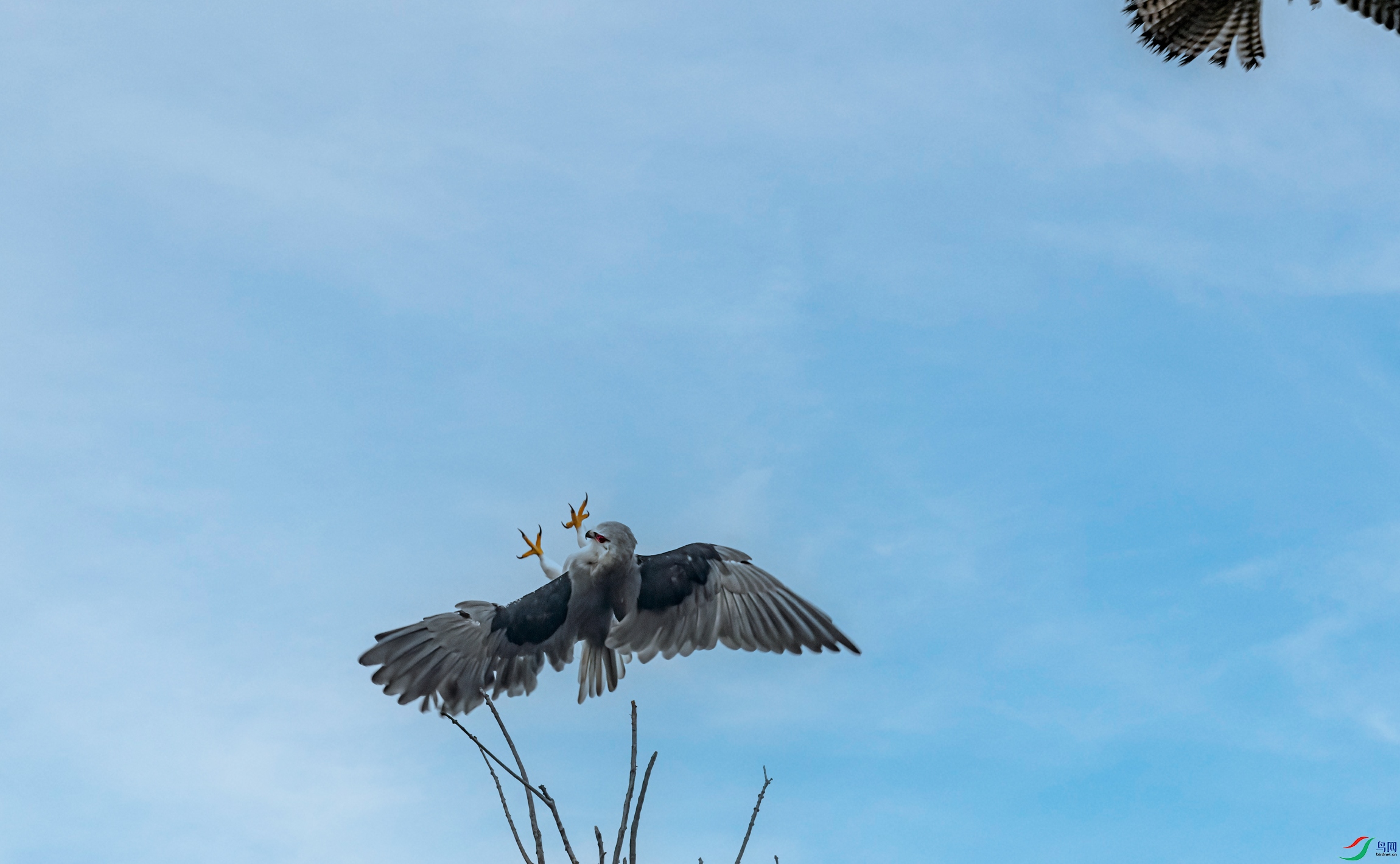 DSC_9030-11.jpg