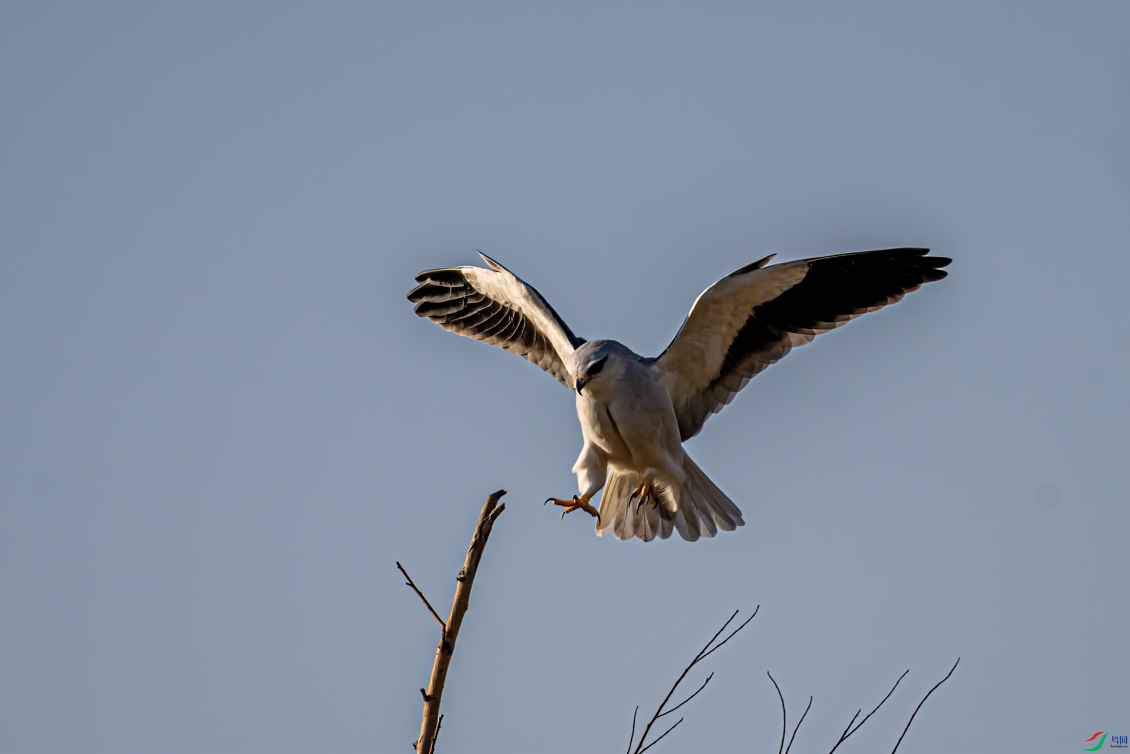 DSC_2860-11.jpg