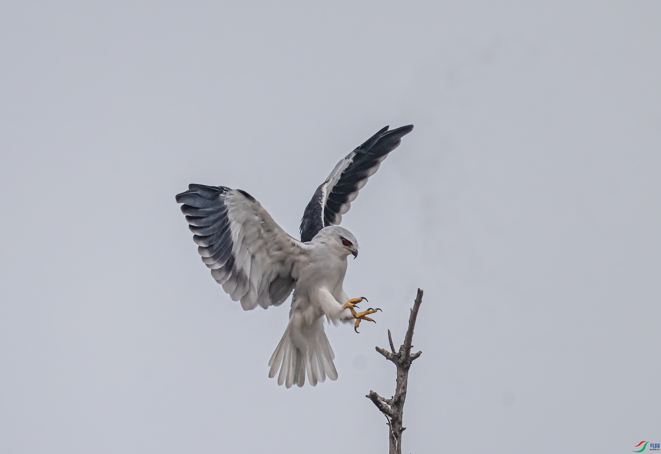 DSC_9144-21.jpg