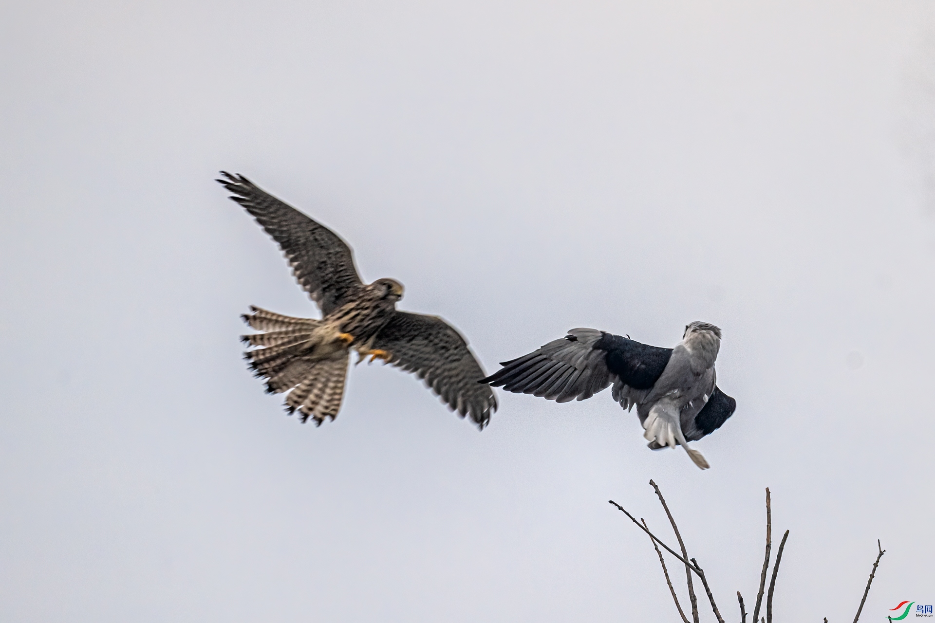 DSC_9029-11.jpg