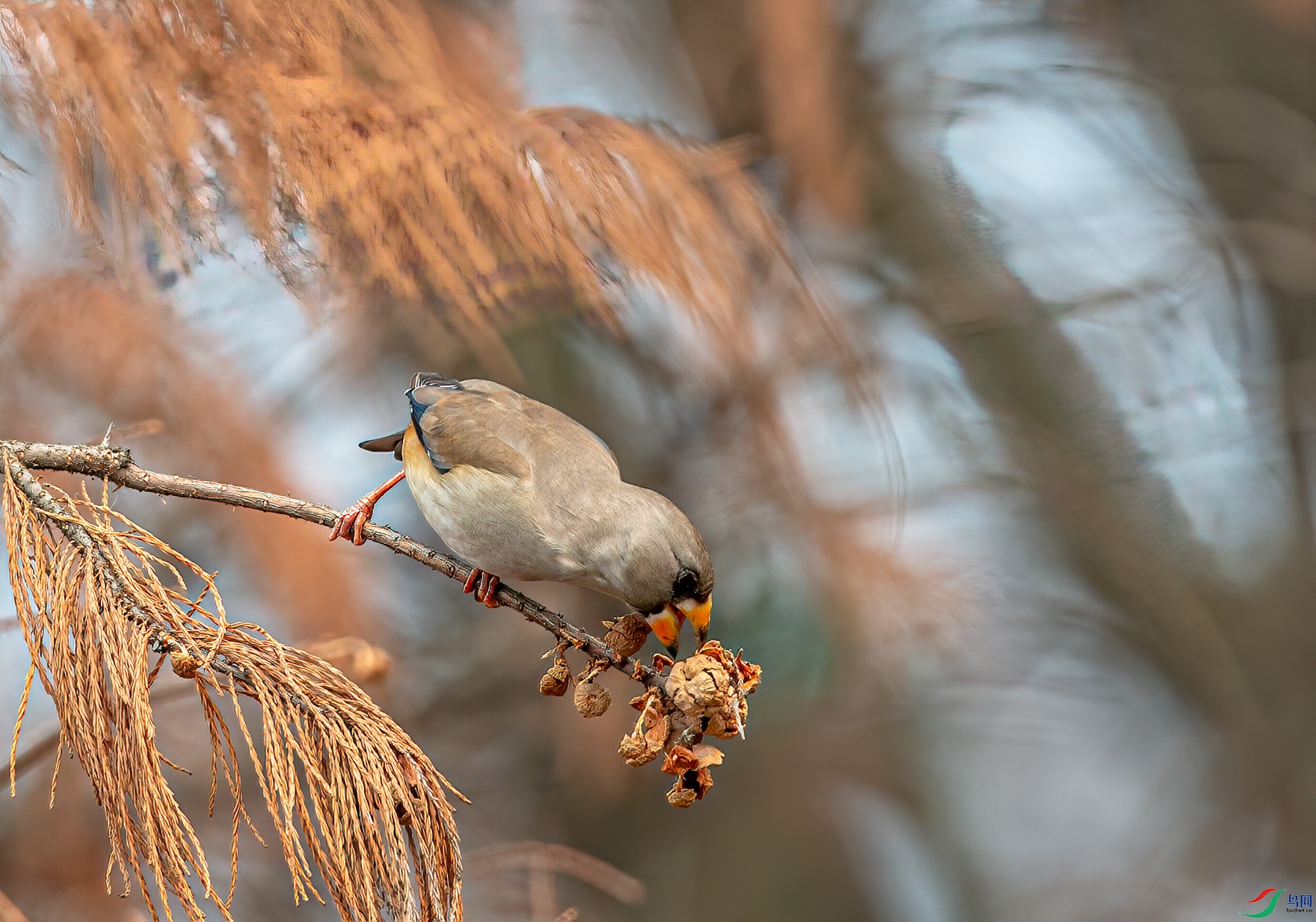 DSC_8399-1.jpg