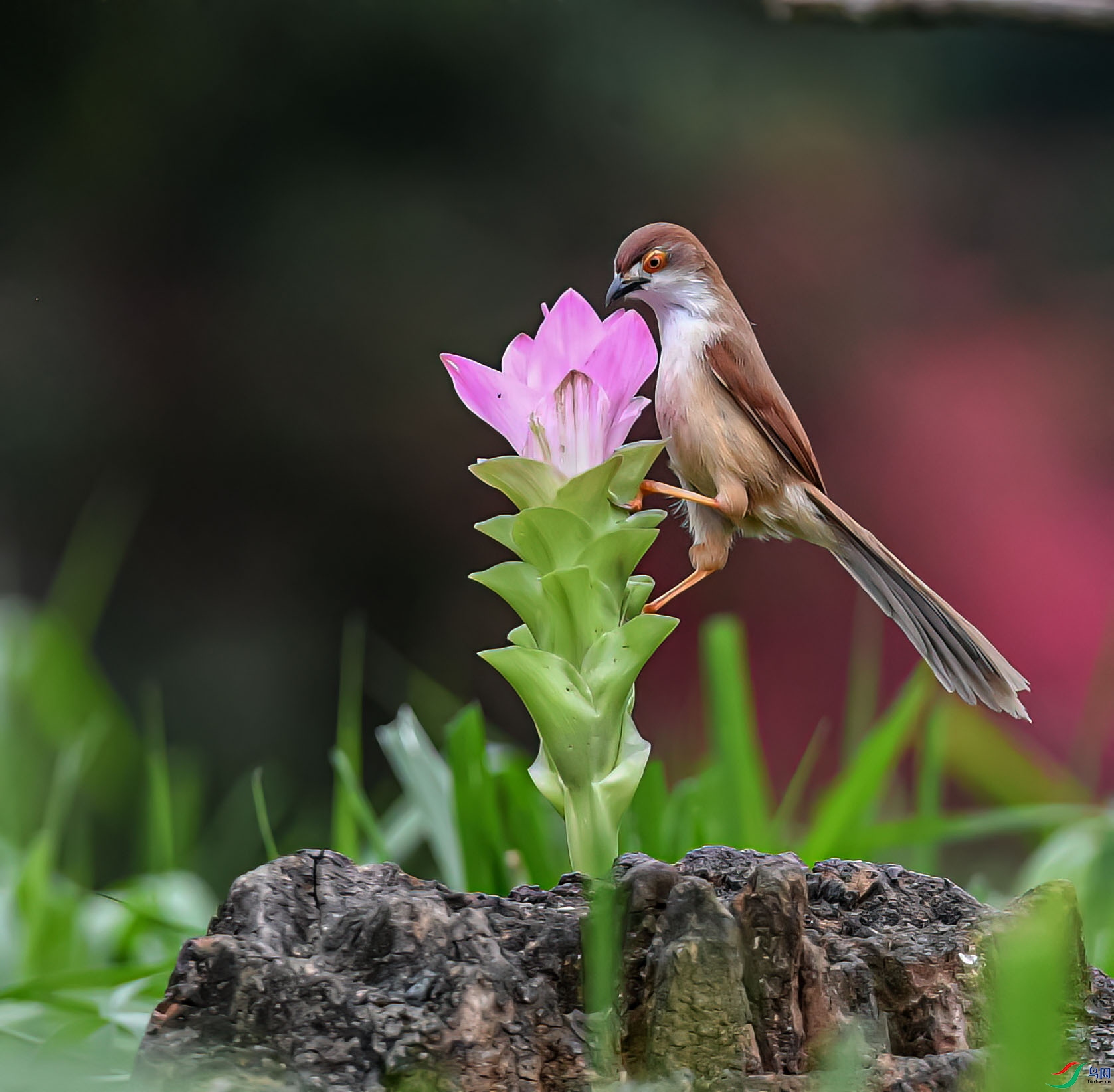 DSC_1146_proc1 ����22.jpg