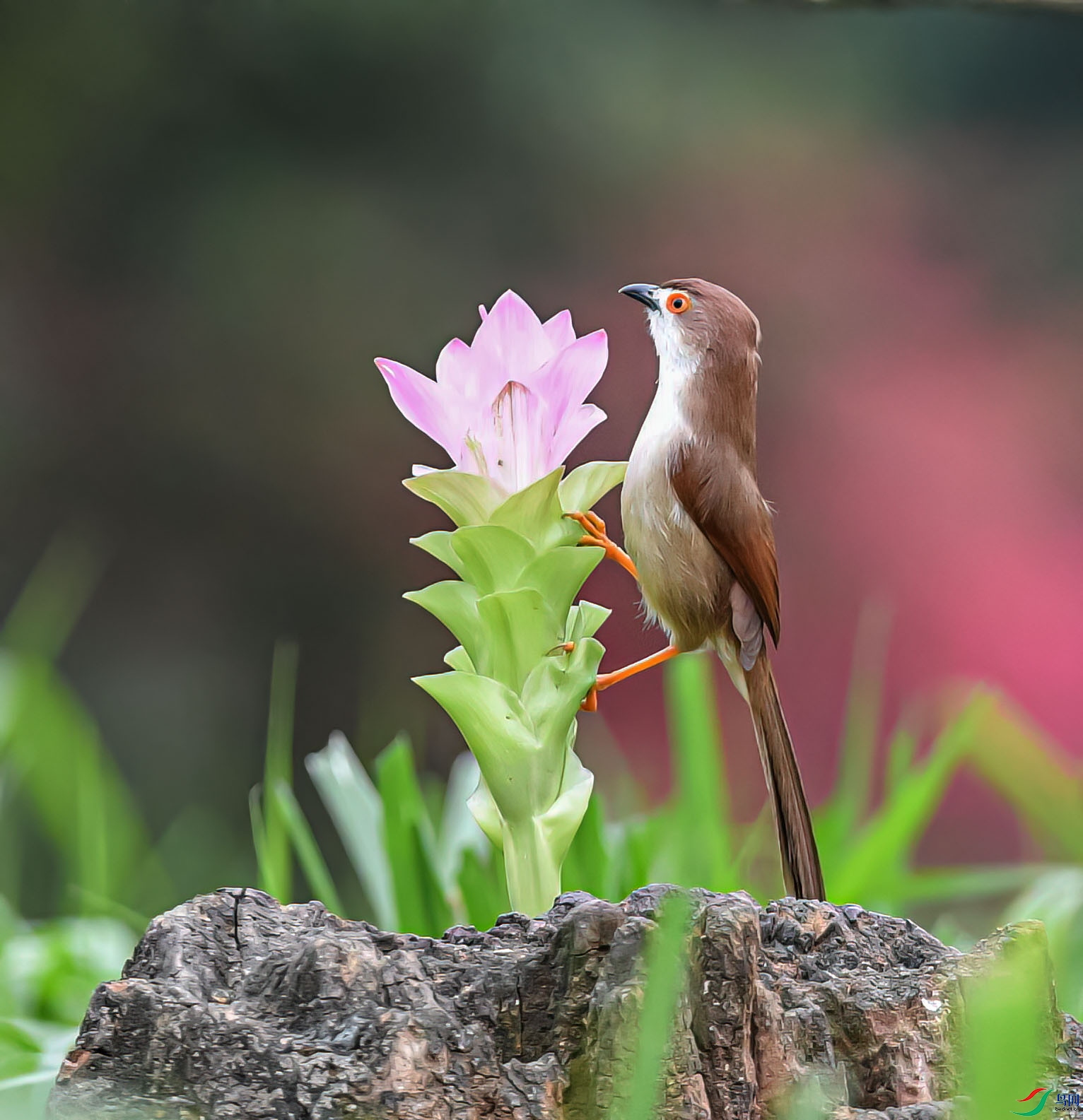 DSC_1005_proc1 ����12.jpg