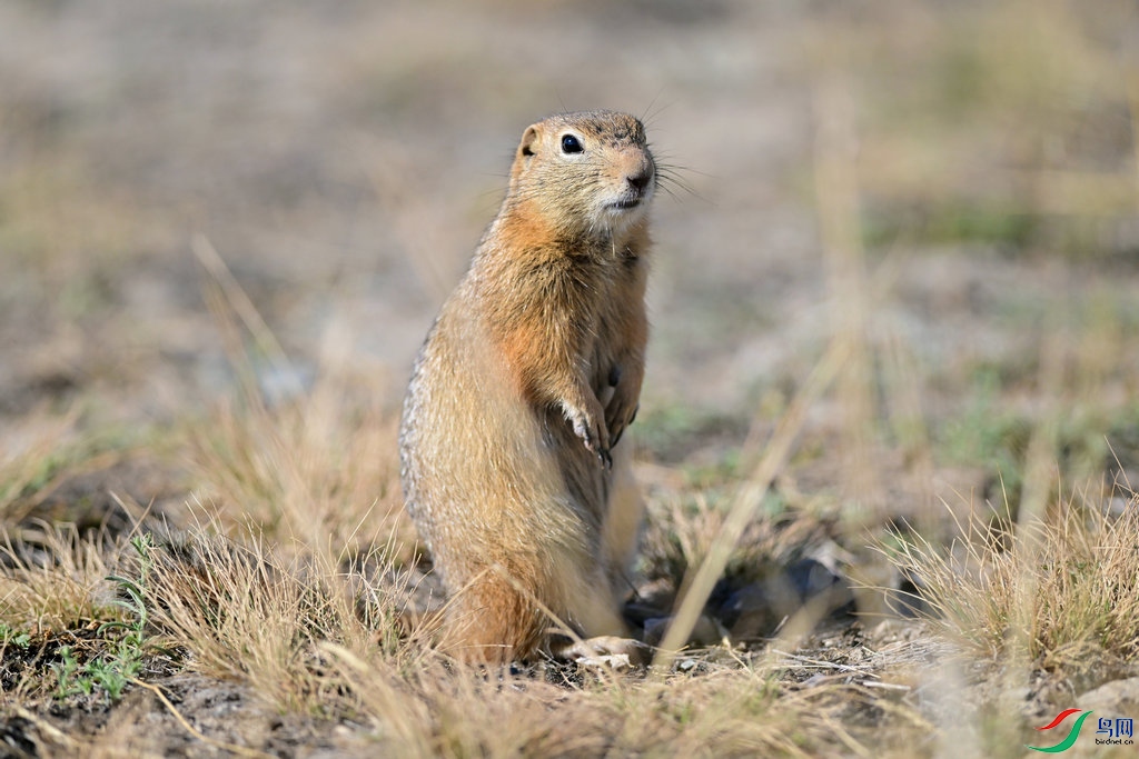 DSC_1179.jpg