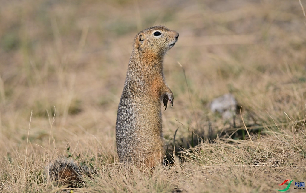 DSC_1210.jpg