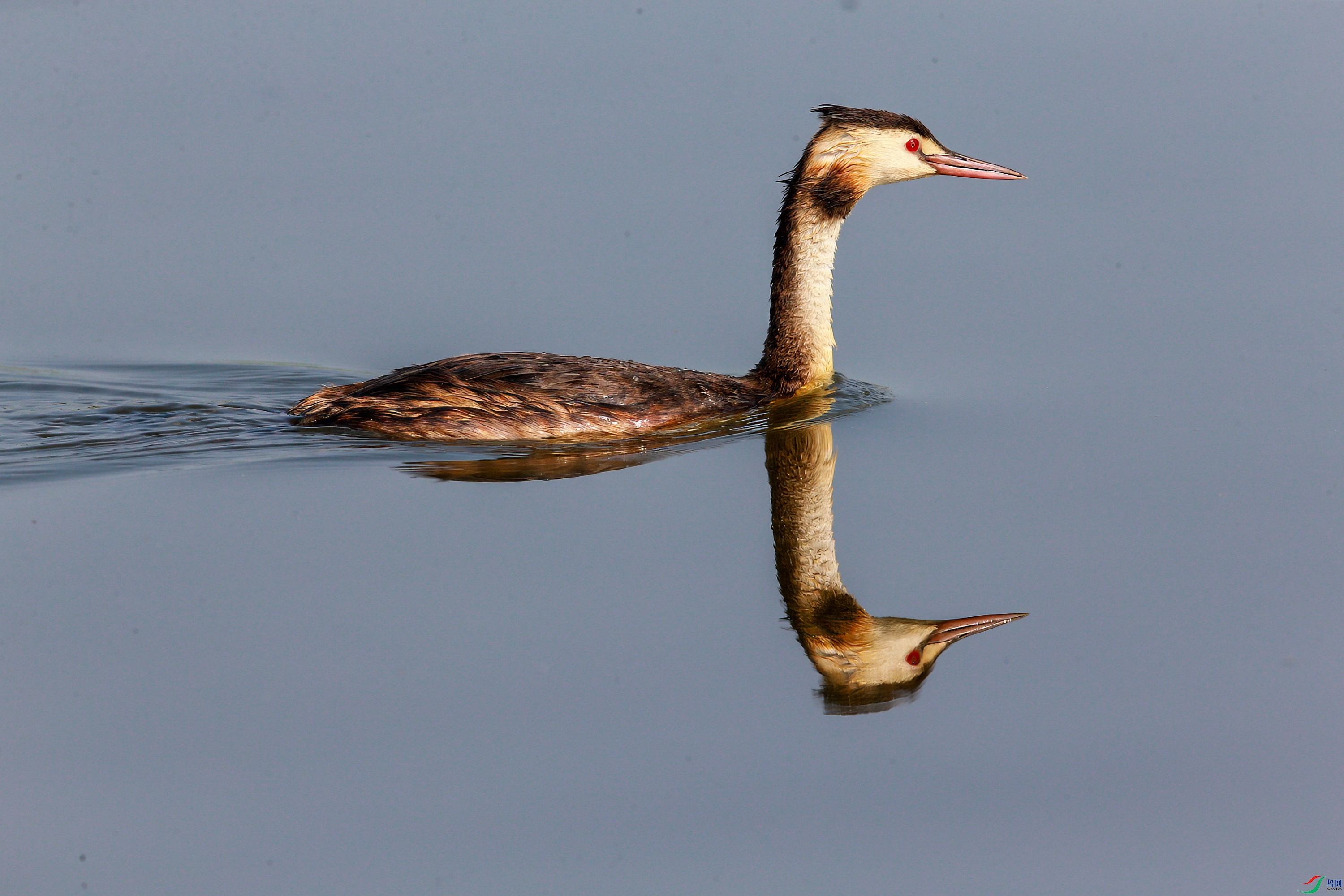 AY8Q9653.jpg