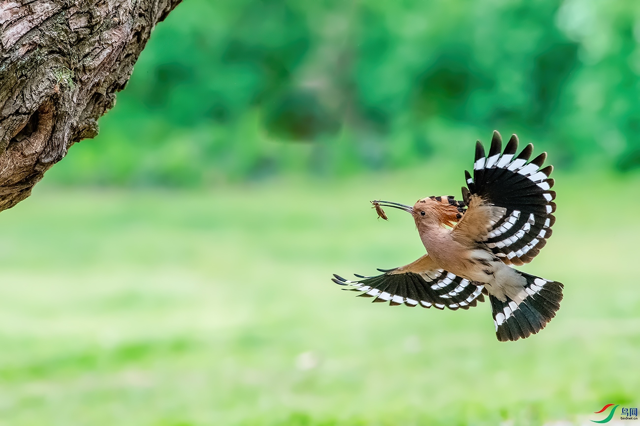 DSC_7566A.jpg