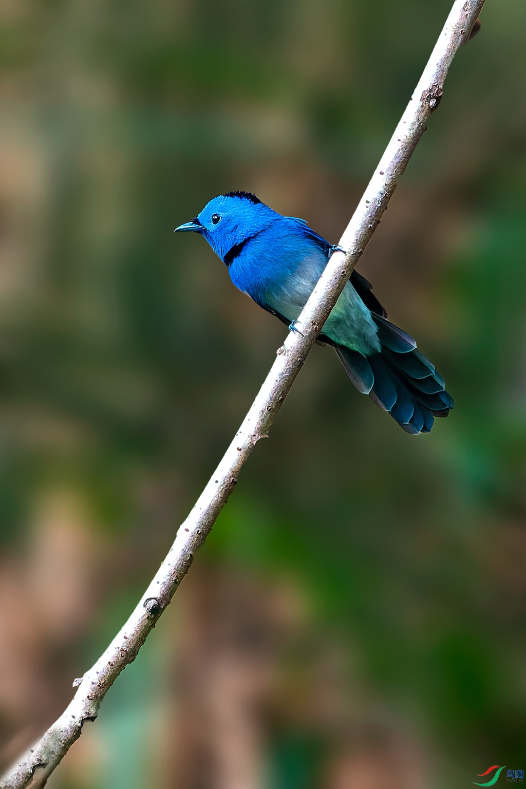 _DSC9757.jpg