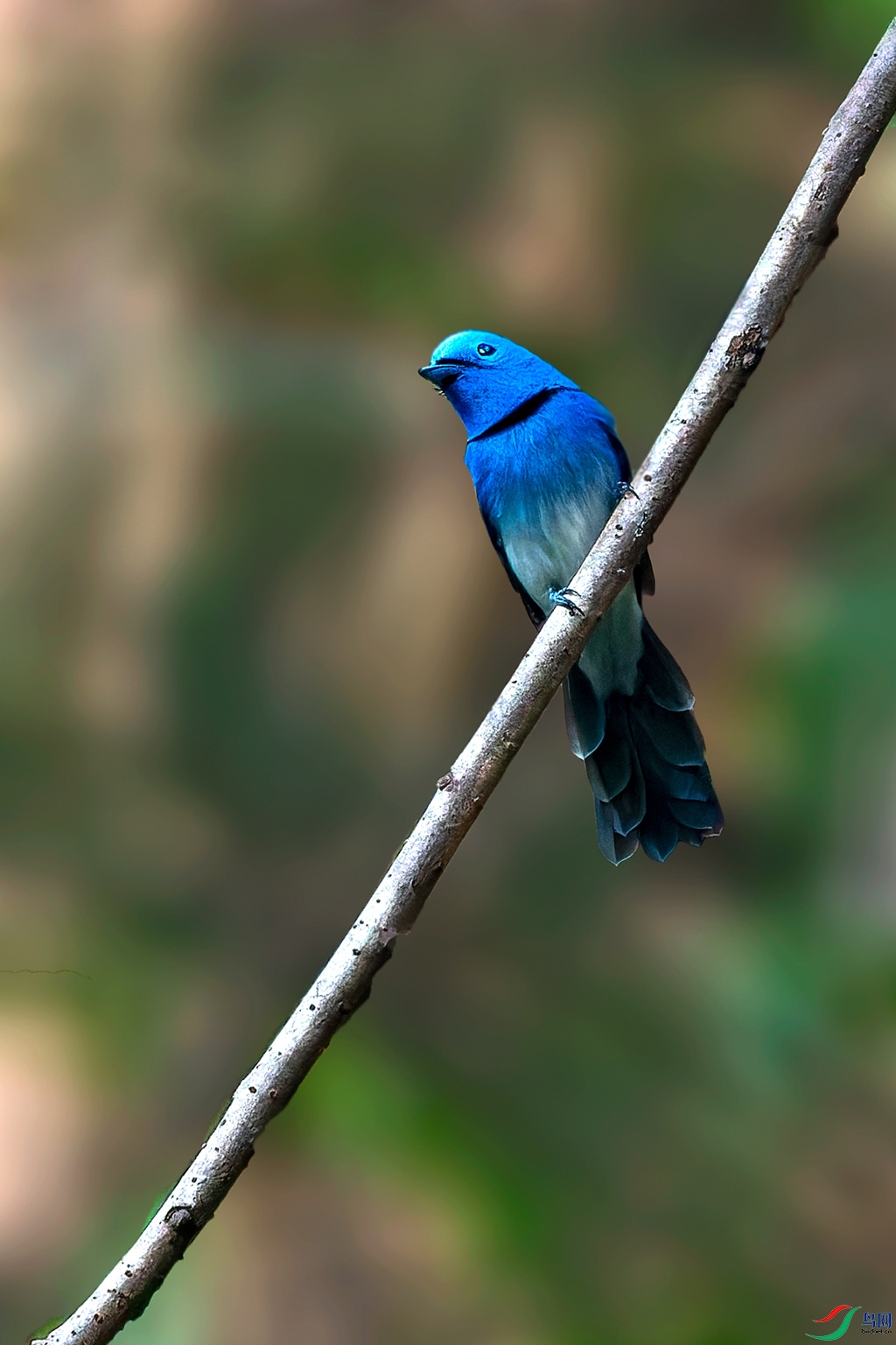 _DSC9687.jpg