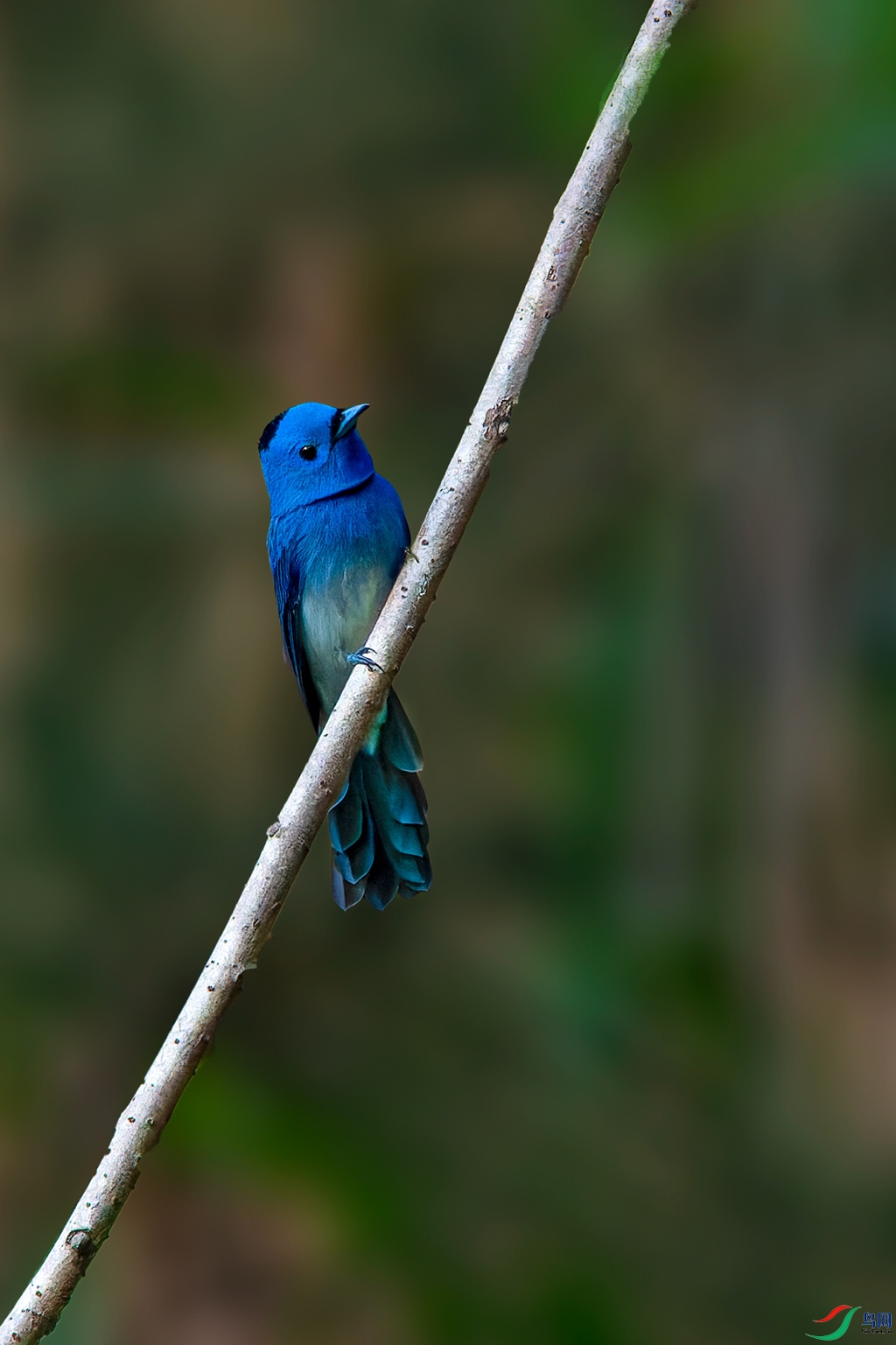 _DSC9712.jpg