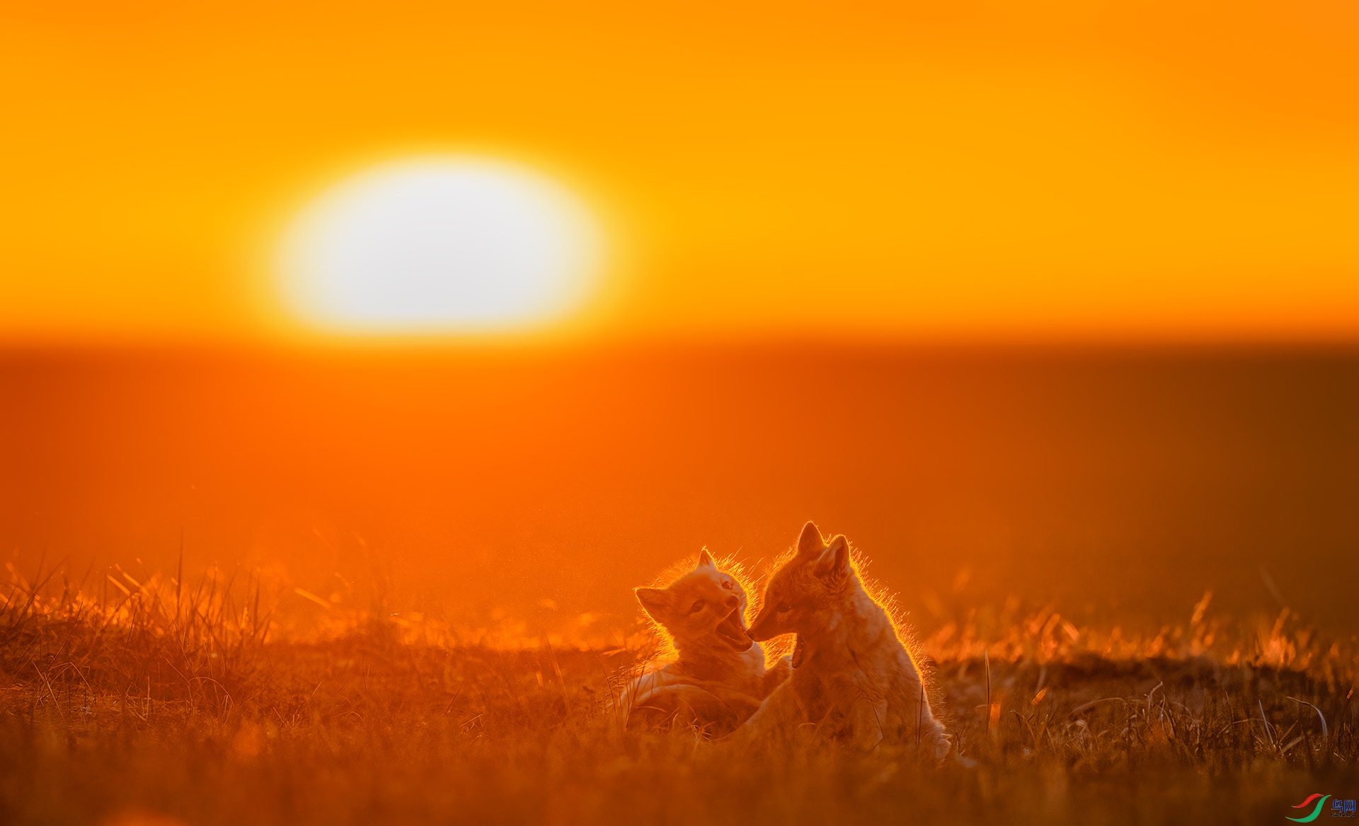 _DSC3636.jpg
