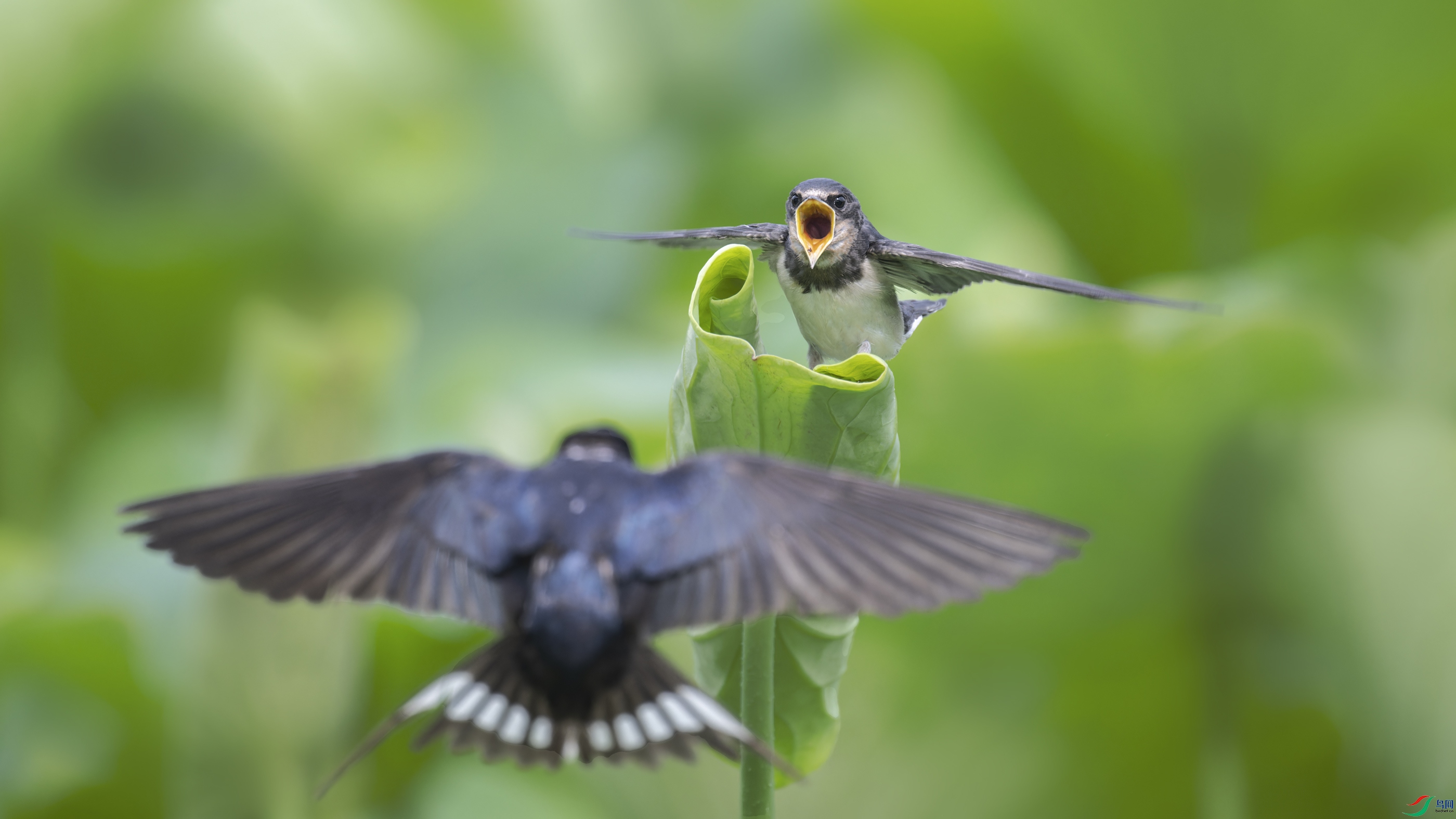 _DSC4581_DxO.jpg