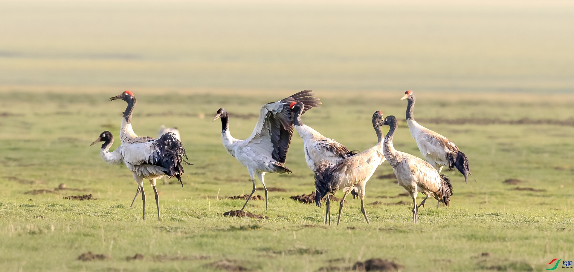 �ھ���2_J1R0357-1.jpg