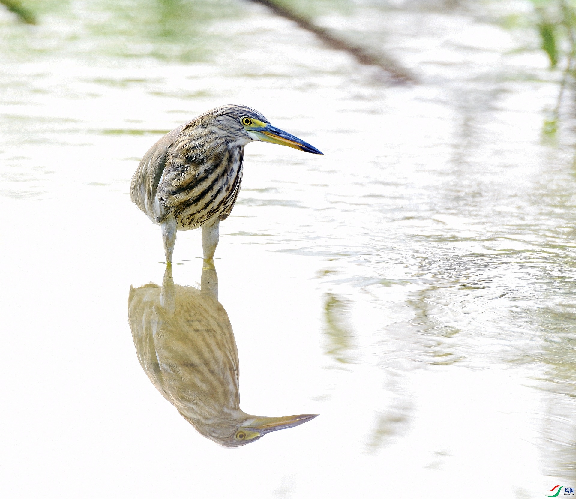 DSC_1031.jpg