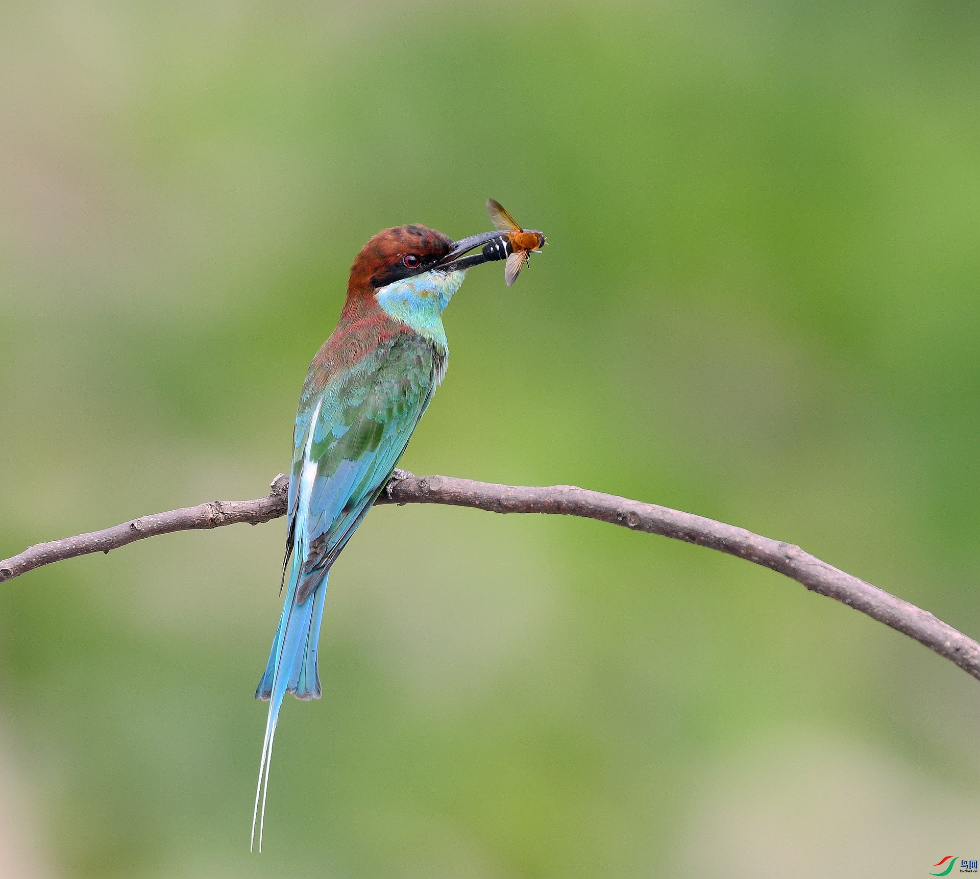 DSC_1245.jpg