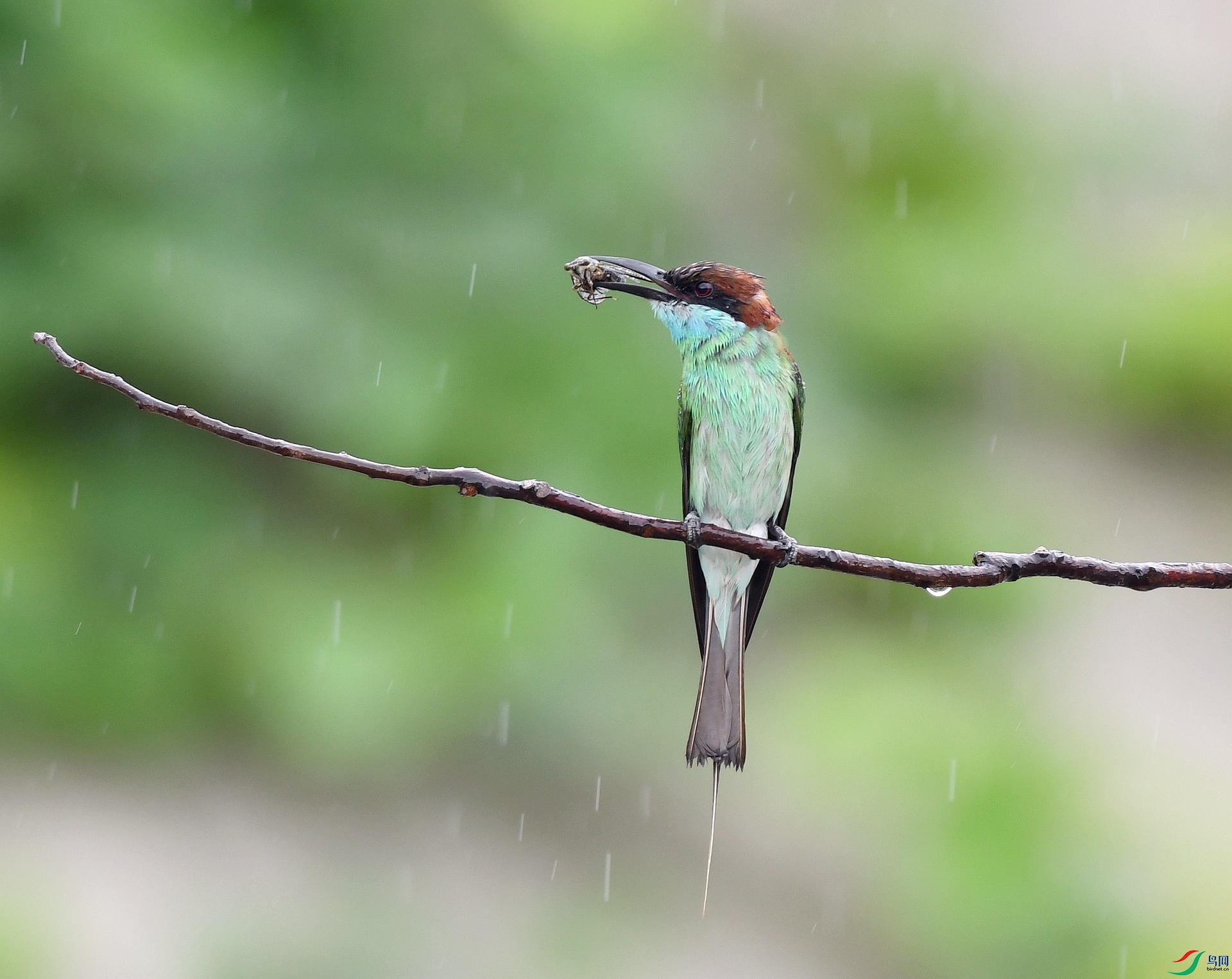 DSC_4163.jpg