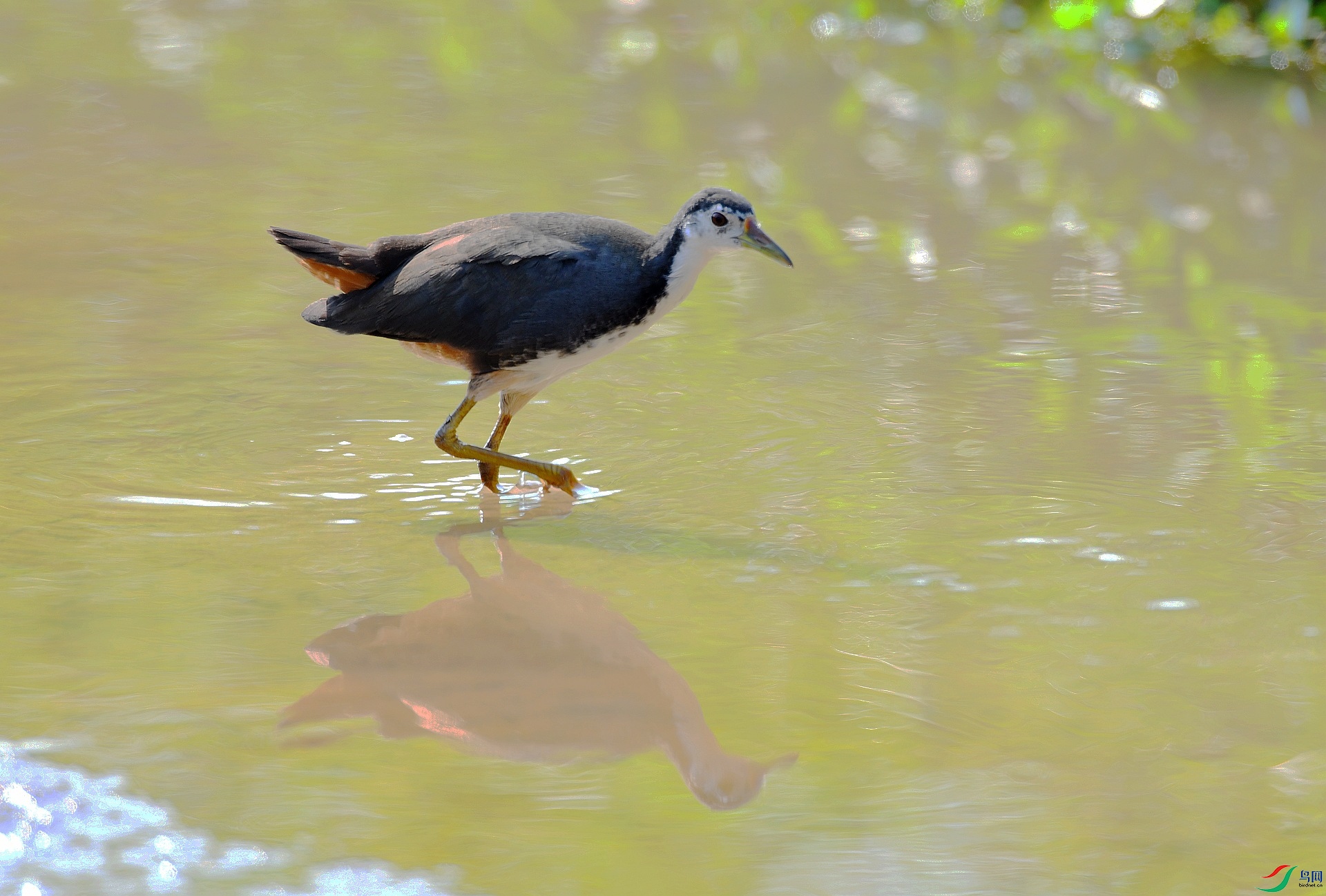 DSC_1301.jpg