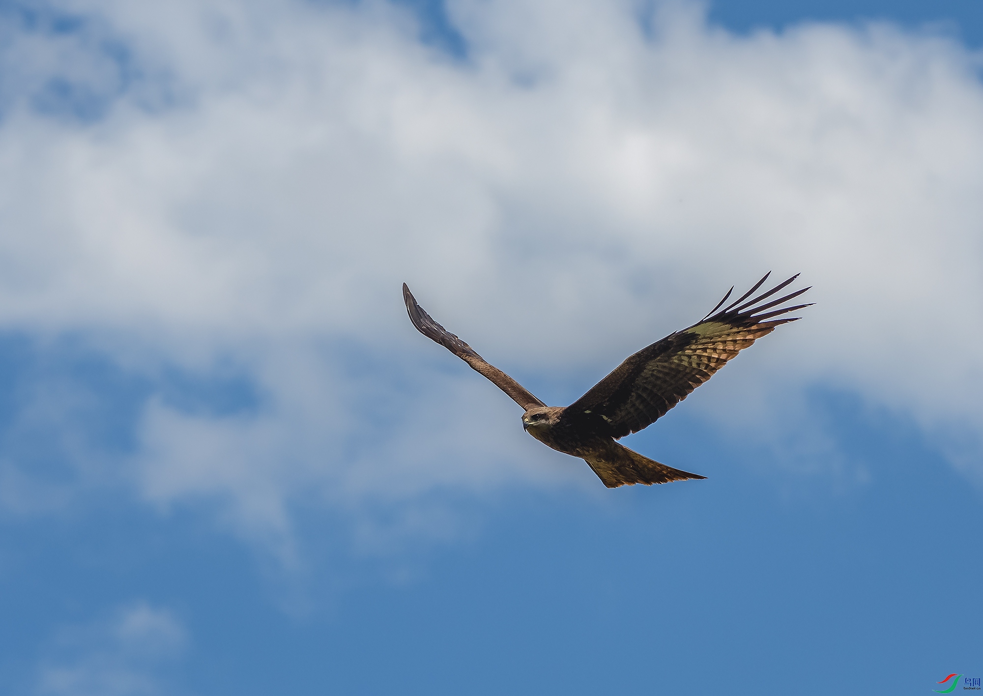 _DSC3796.jpg