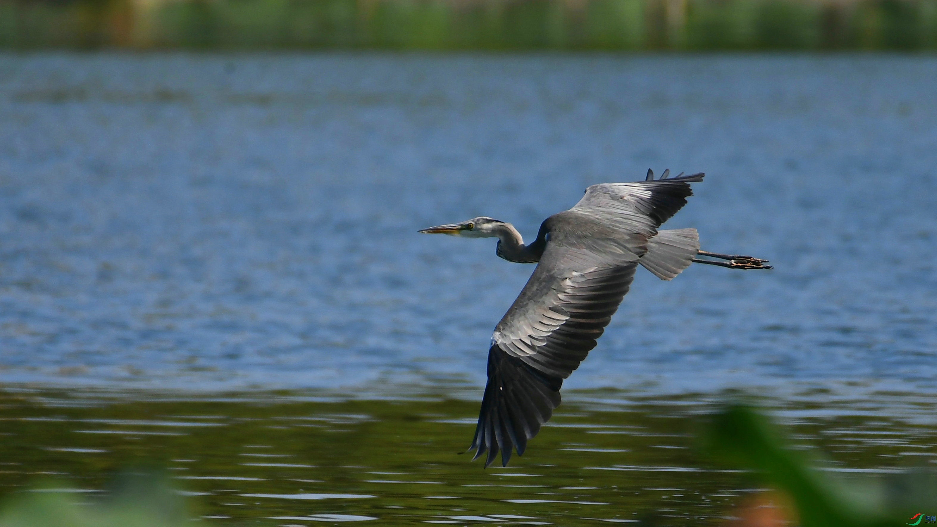 DSC_8929.JPG