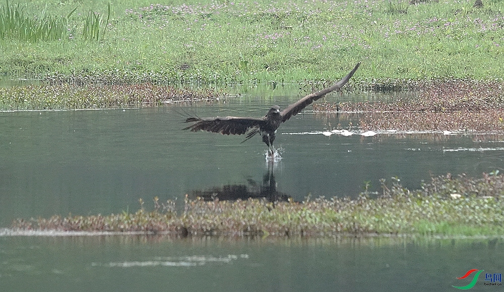 QQͼƬ20260928114448.jpg