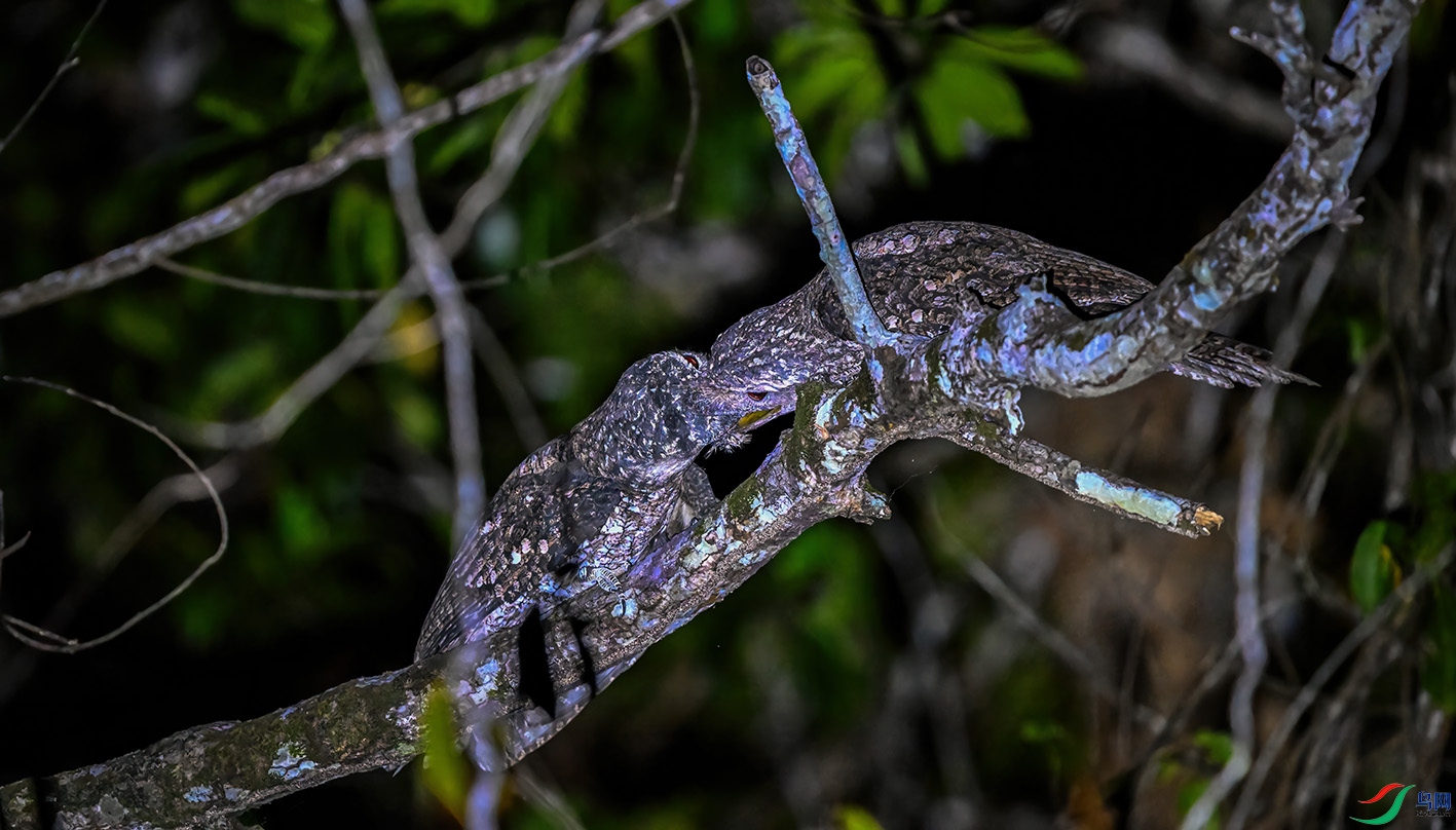 DSC_2936-2.jpg
