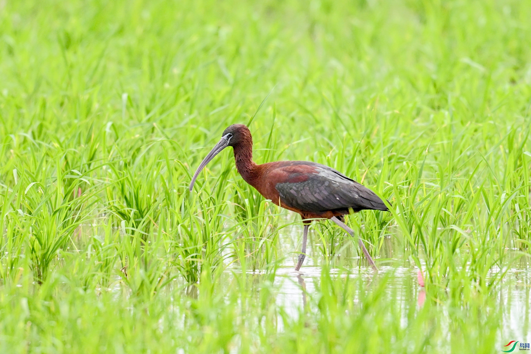 DSC_7701.JPG