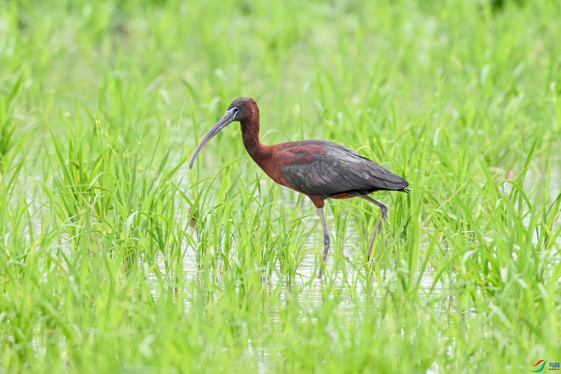 DSC_7727.JPG