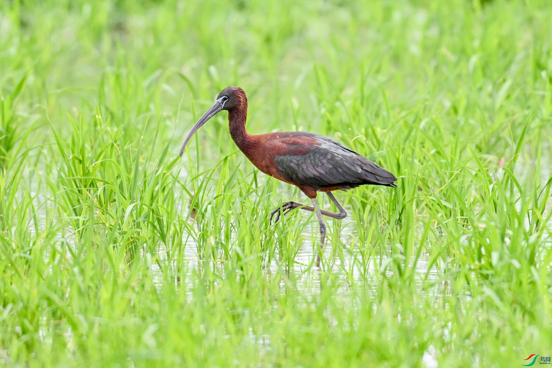 DSC_7730.JPG