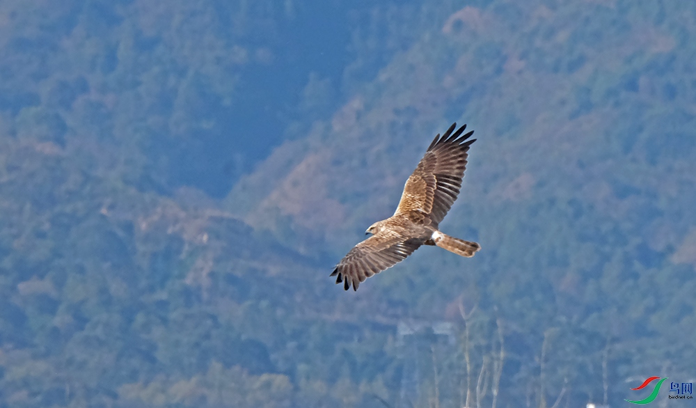 DSCF1109.1.jpg